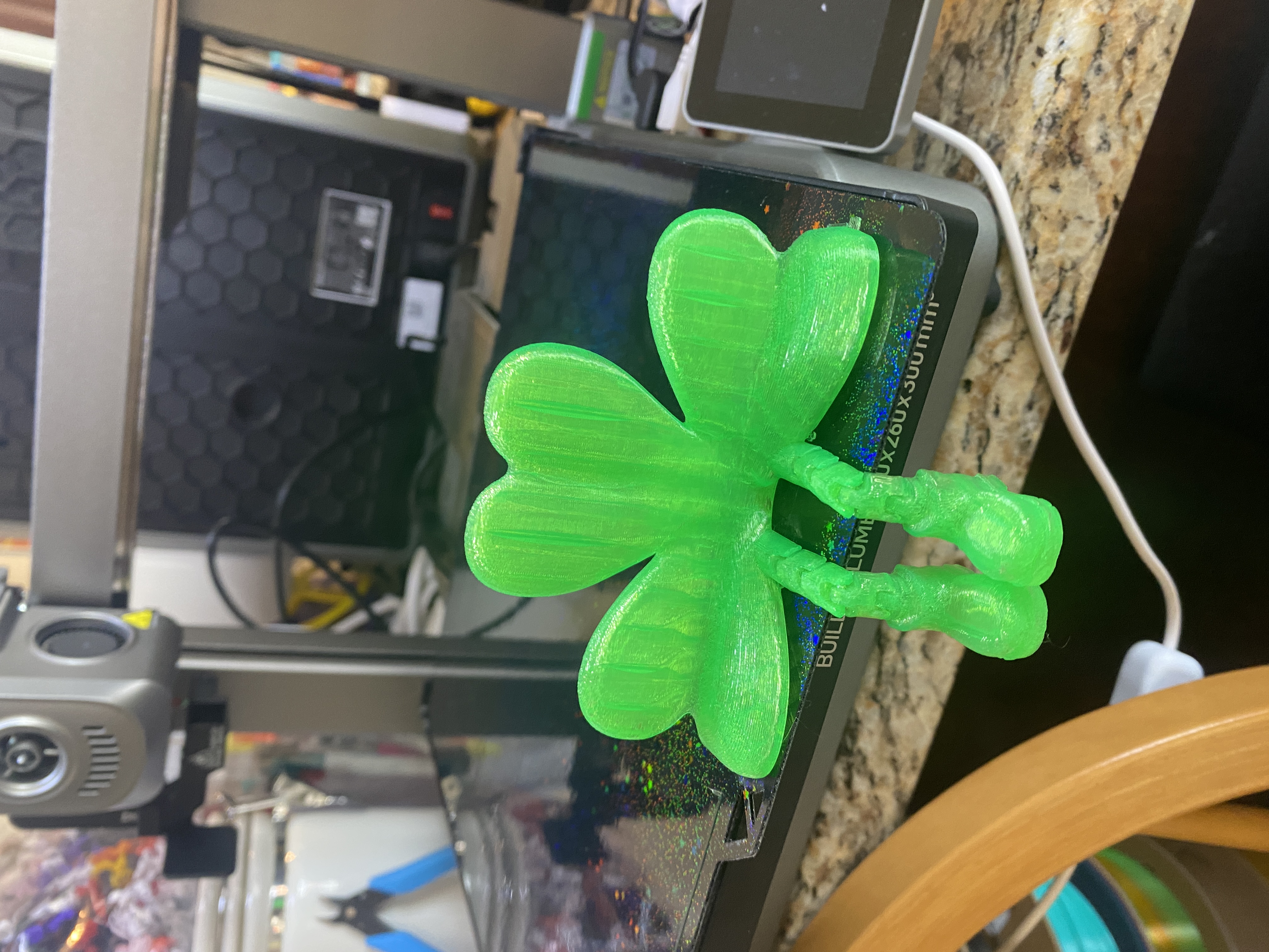 Shamrock guy