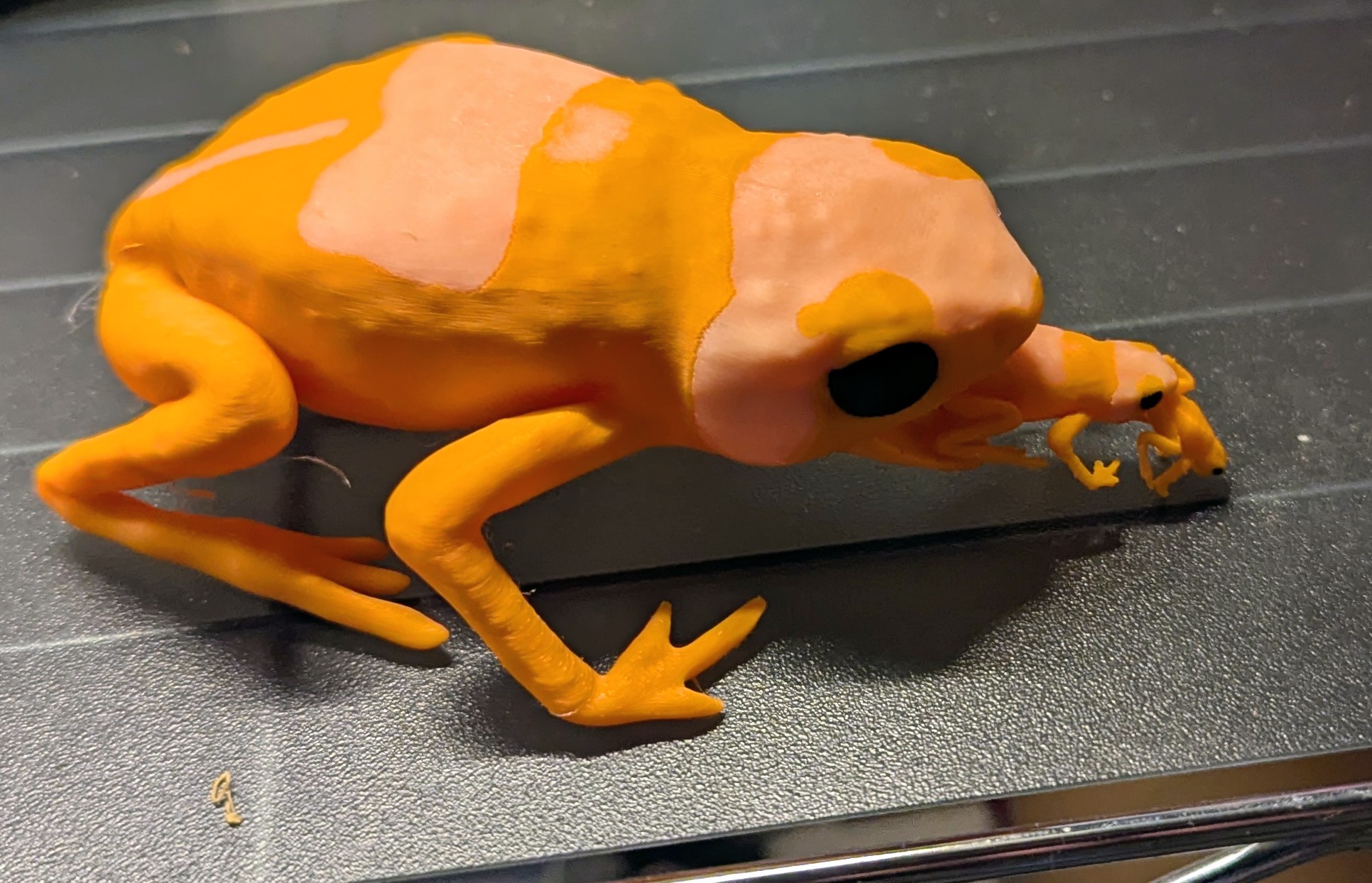 Miniatura 2 do modelo 3D Pumpkin Toadlet (large, screaming)