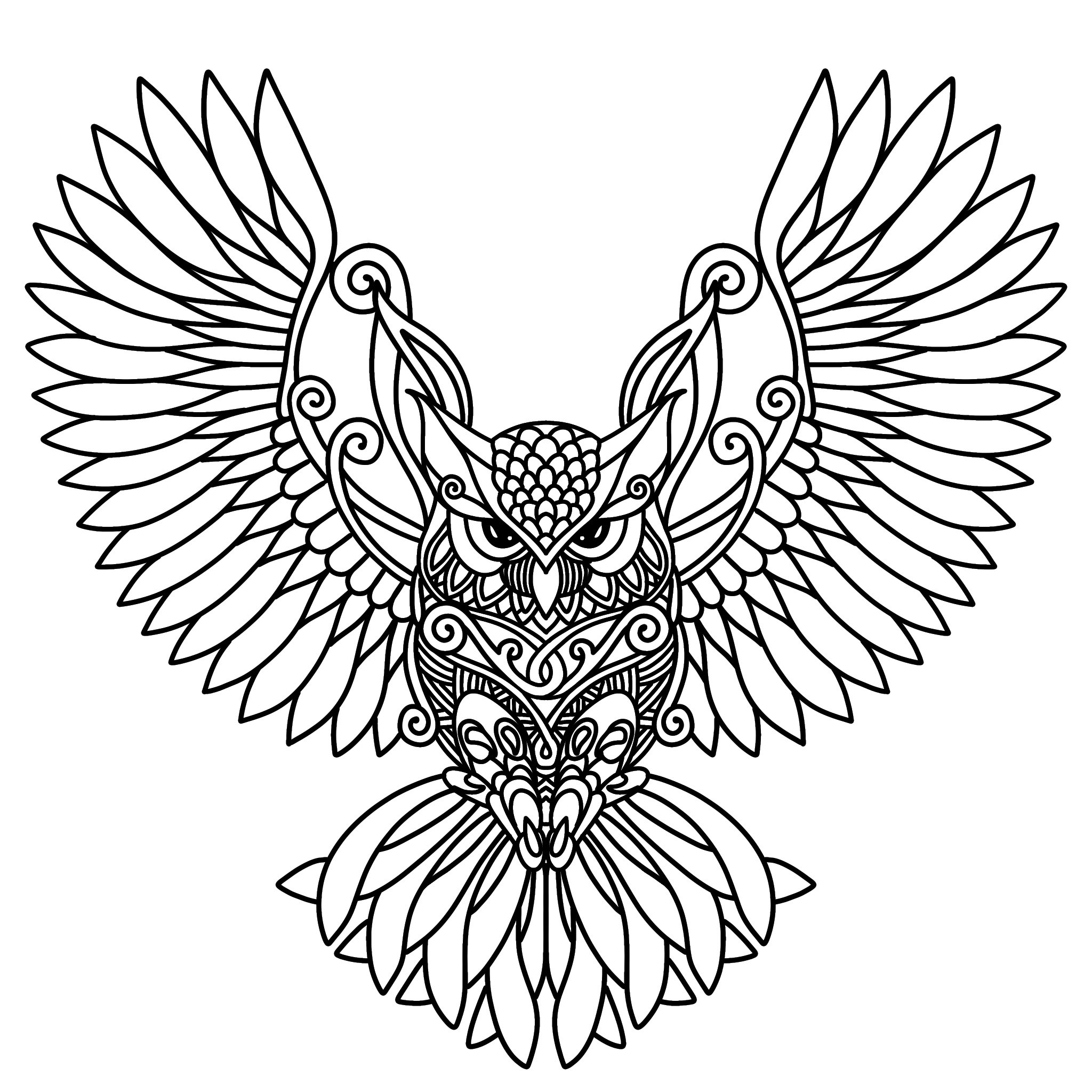 Owl