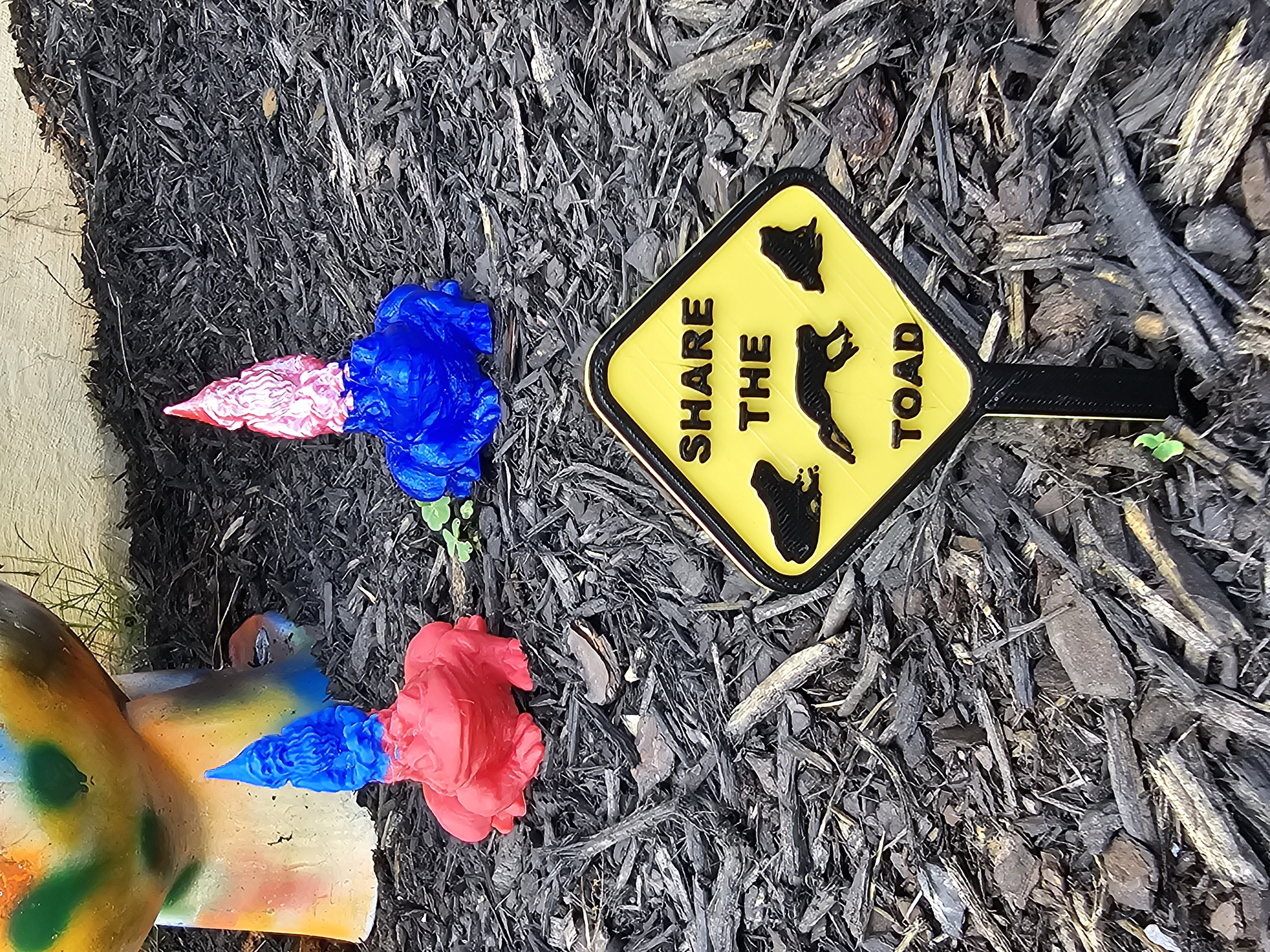 Toad Sign — thumbnail 2