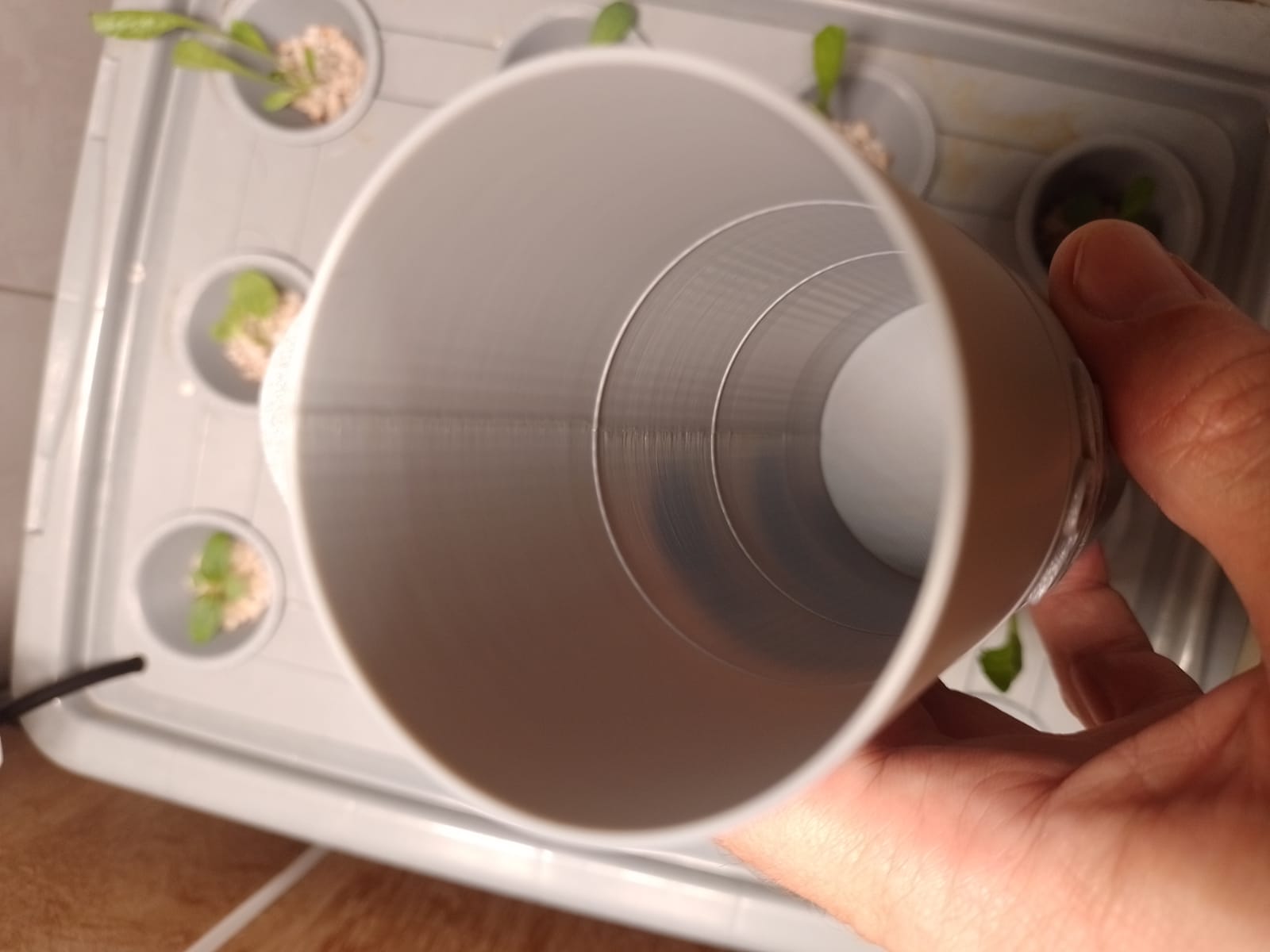 Small Kratky — miniatura 3