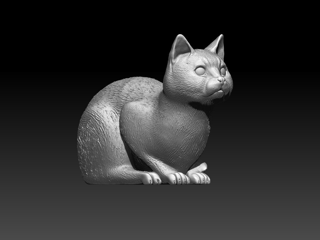 cats — thumbnail 10