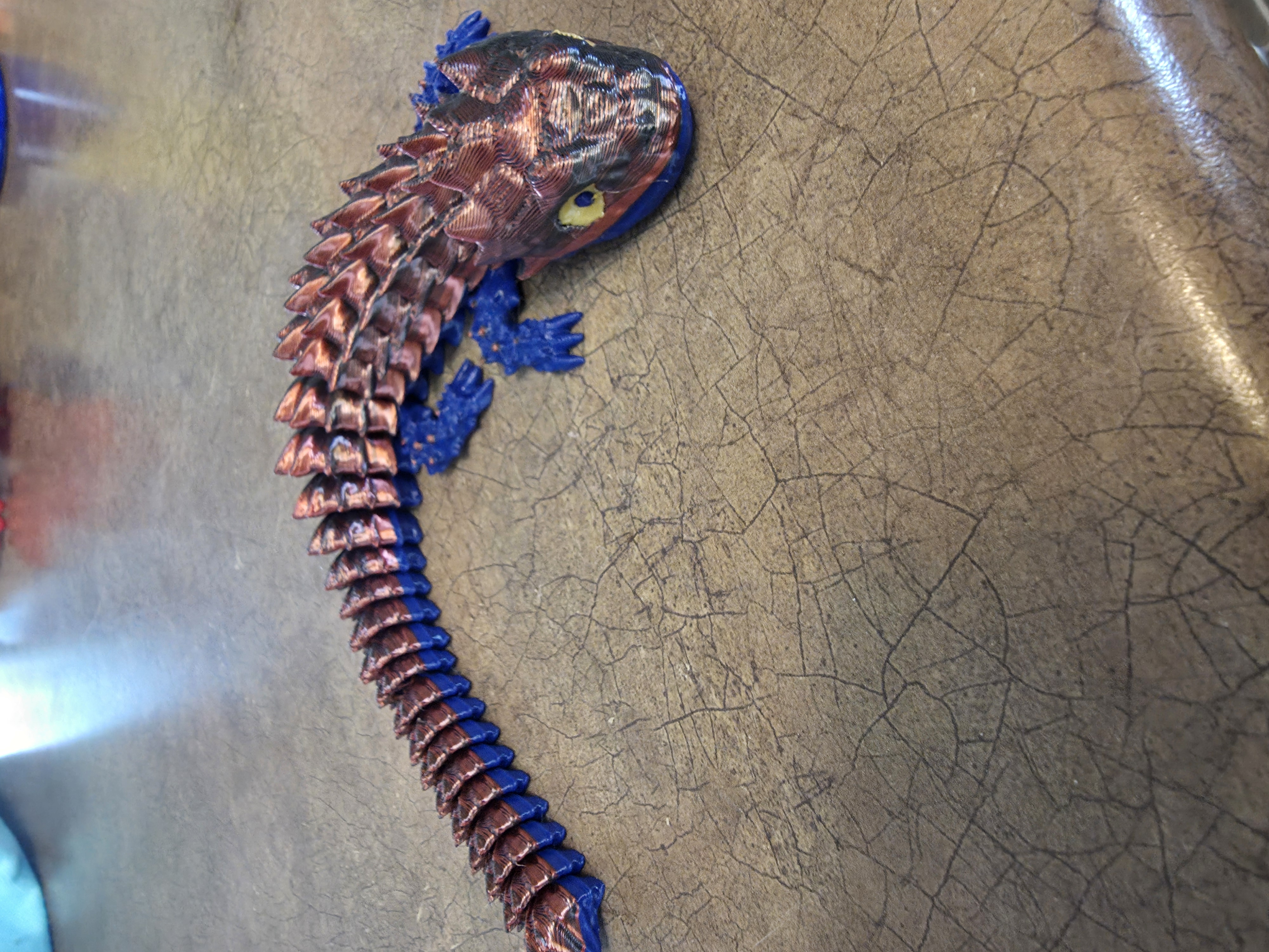 Multicolored Articulated Armadillo Lizard