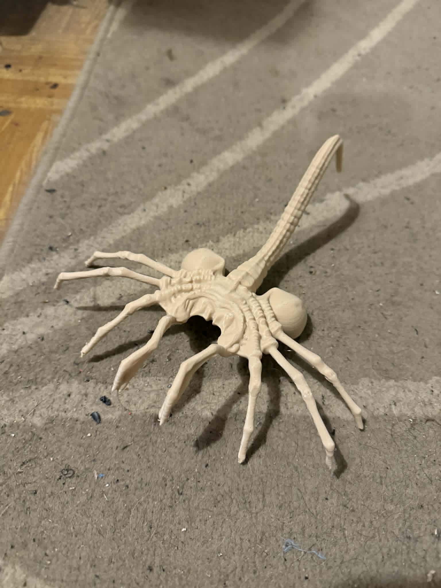 Miniatura 4 do modelo 3D Alien Facehugger