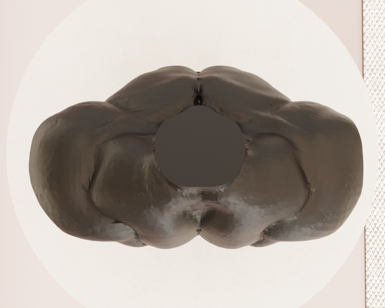 Torso — miniatura 4