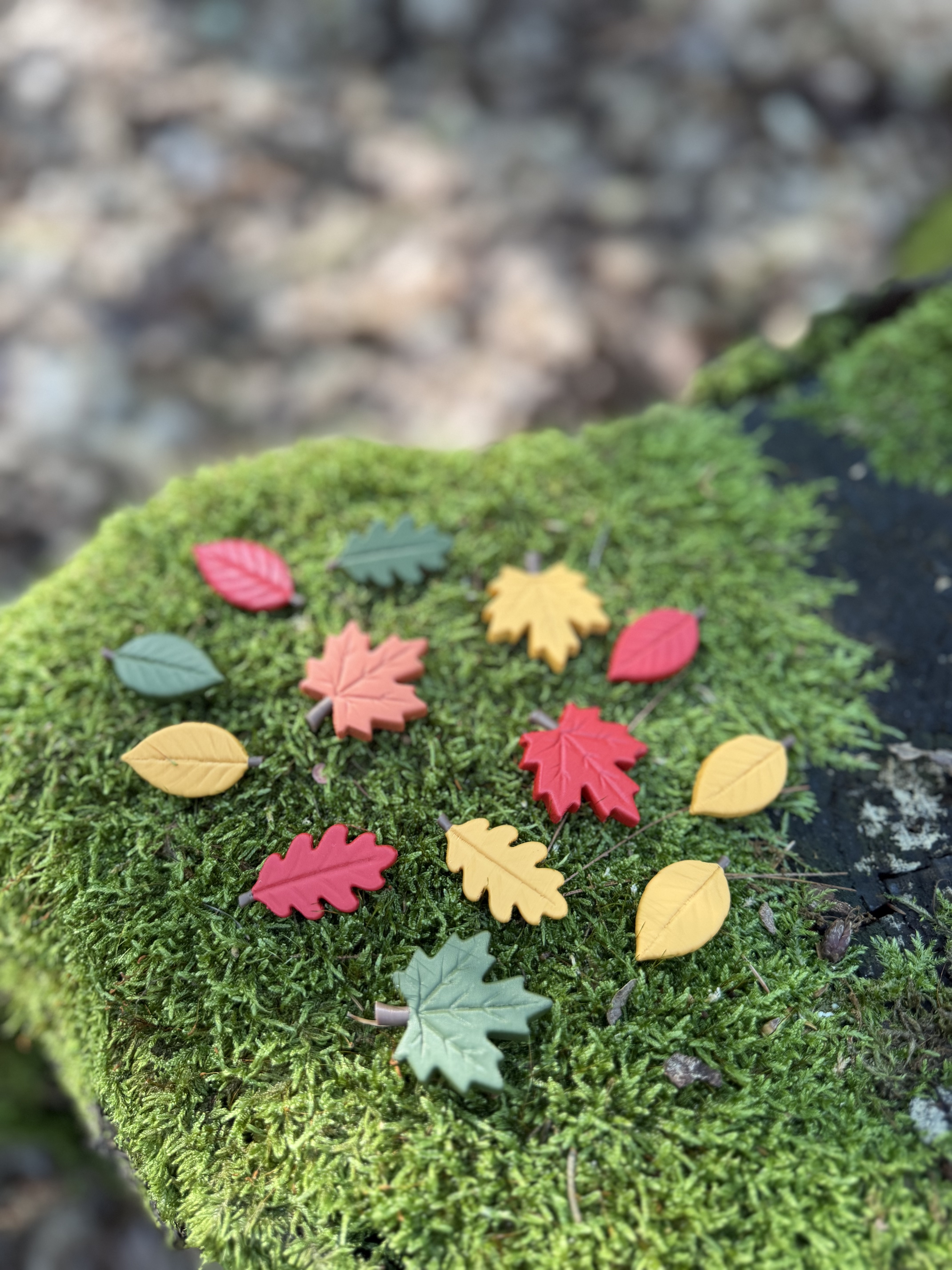 Forest Leaves – Maple, Oak & Beech