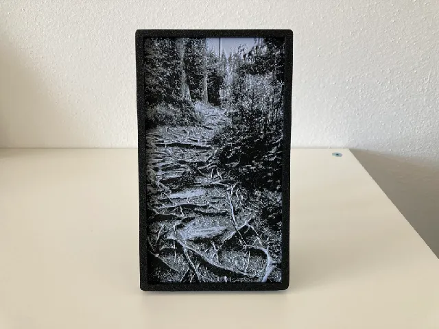 Tree roots in the forest picture HueForge