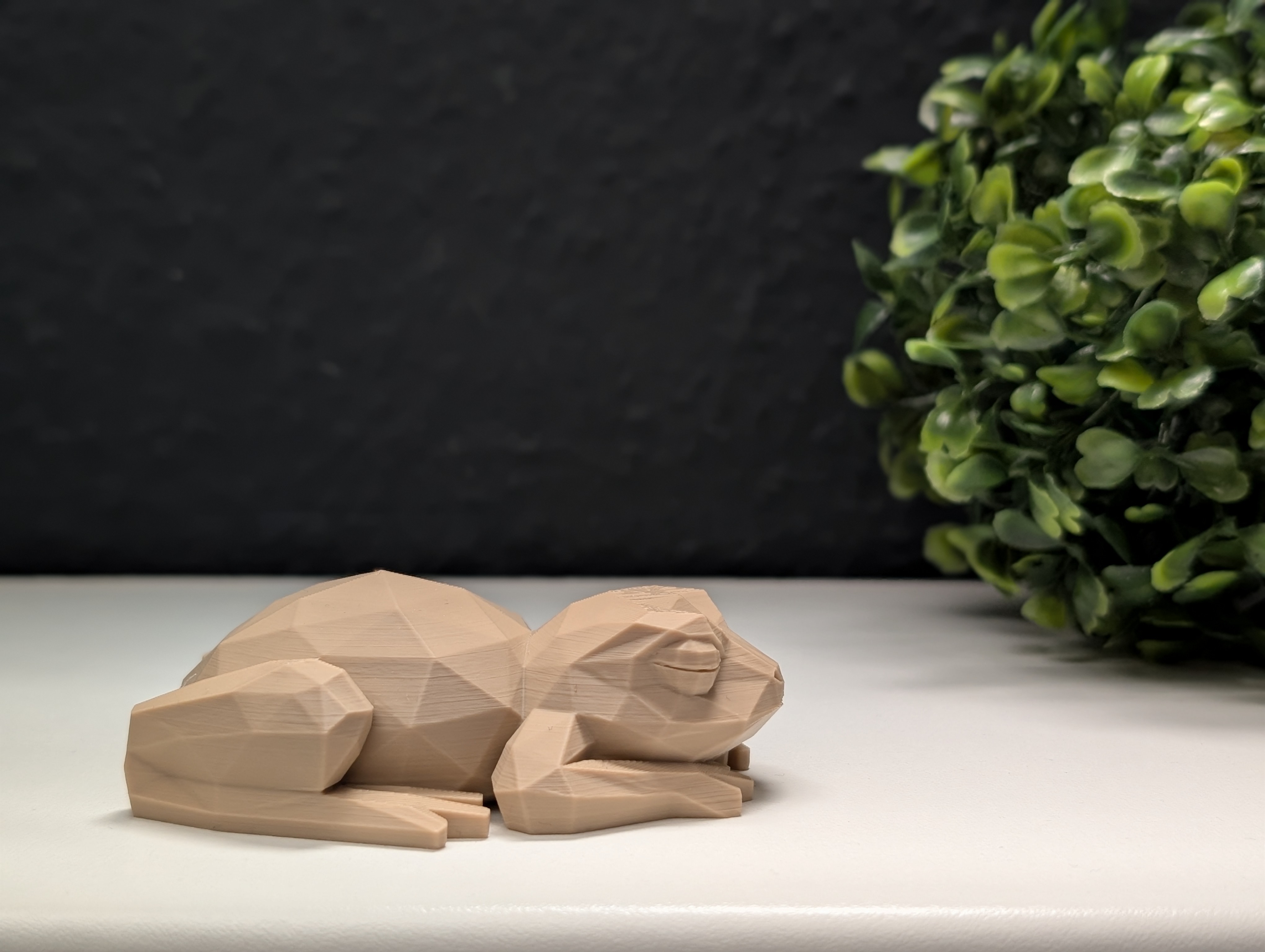 Miniatura 4 do modelo 3D Low Poly Sleeping Frog