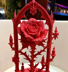 Image preview