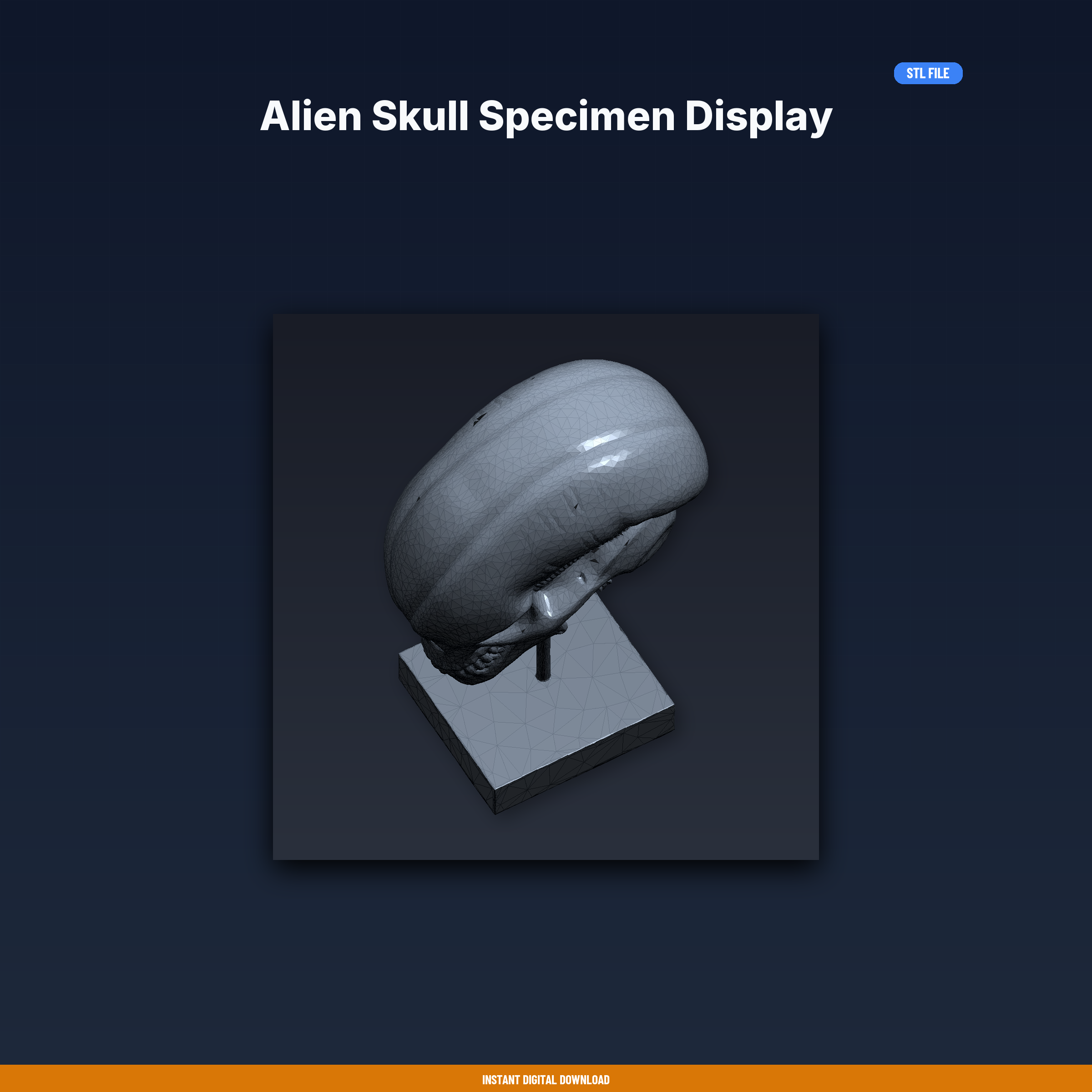 Alien Skull Specimen Display - 3D Printable STL File