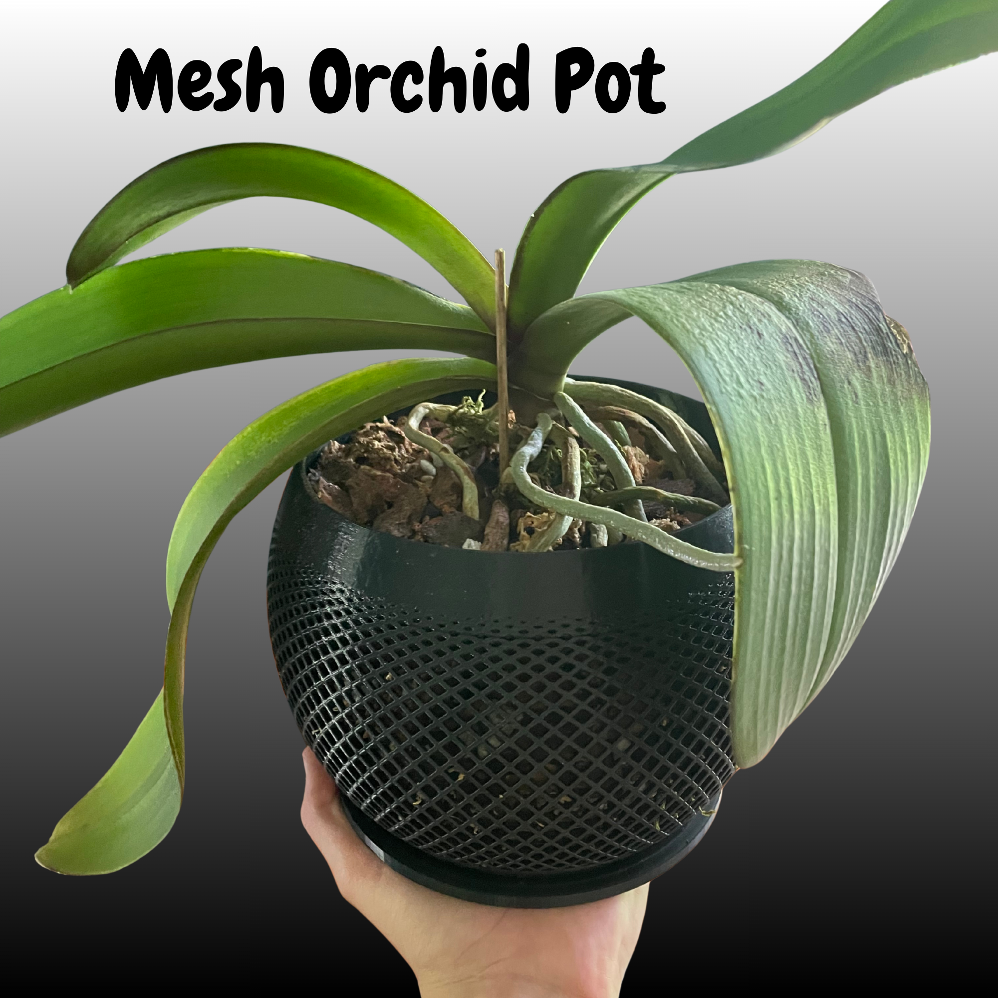 Orchid Pot (Scalable)