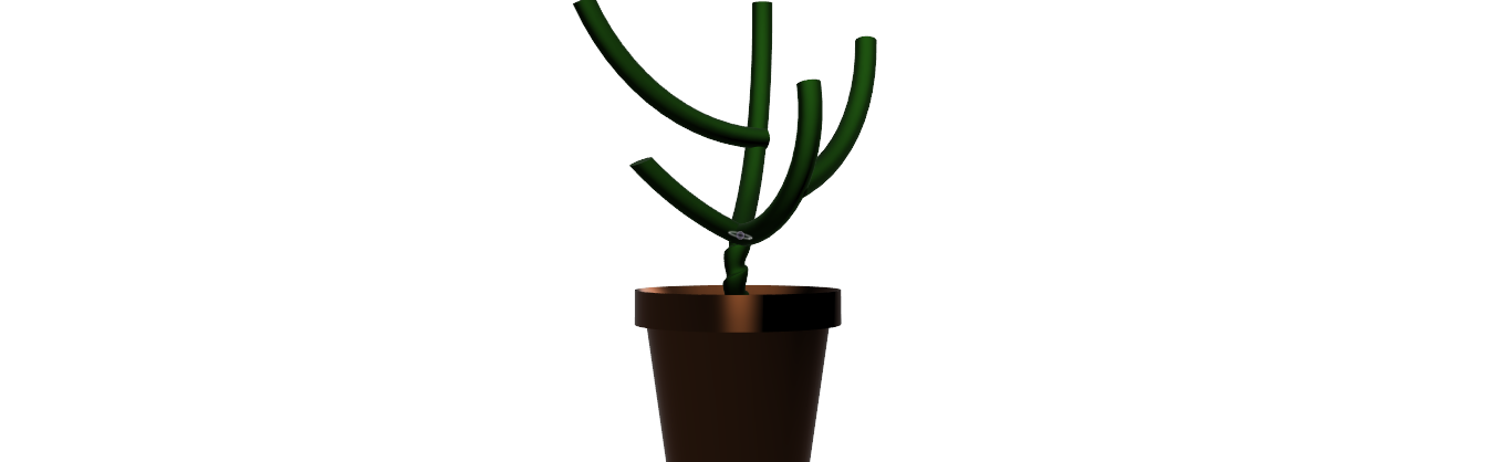 Decorative Plant (Scaled down)
