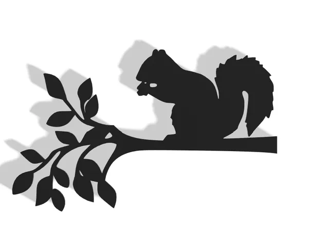Squirrel Decor