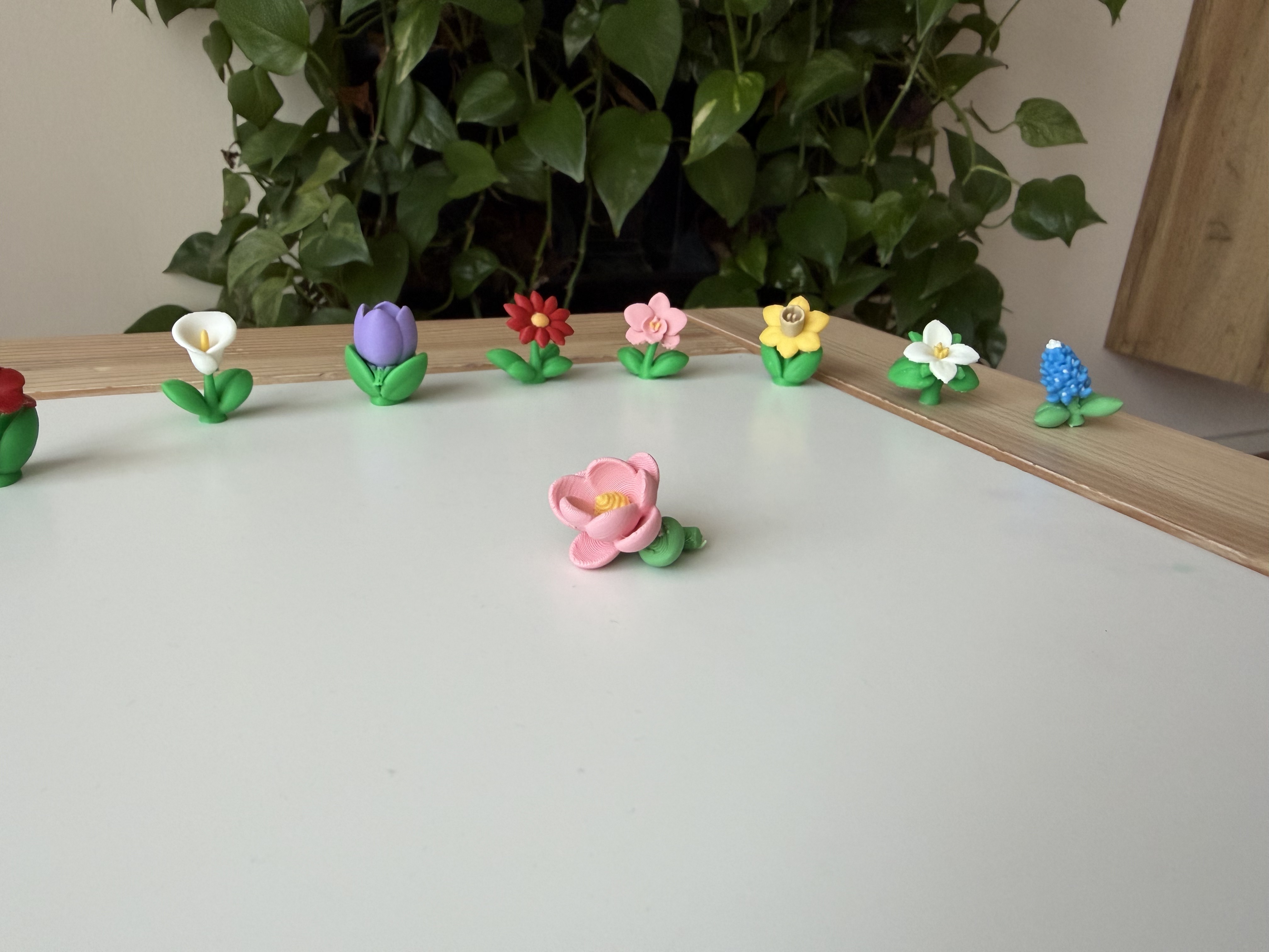 Miniatura 3 do modelo 3D Magnolia