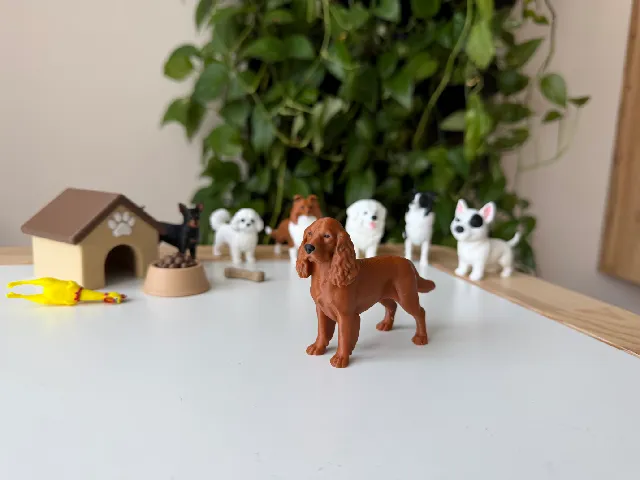 Cocker Spaniel