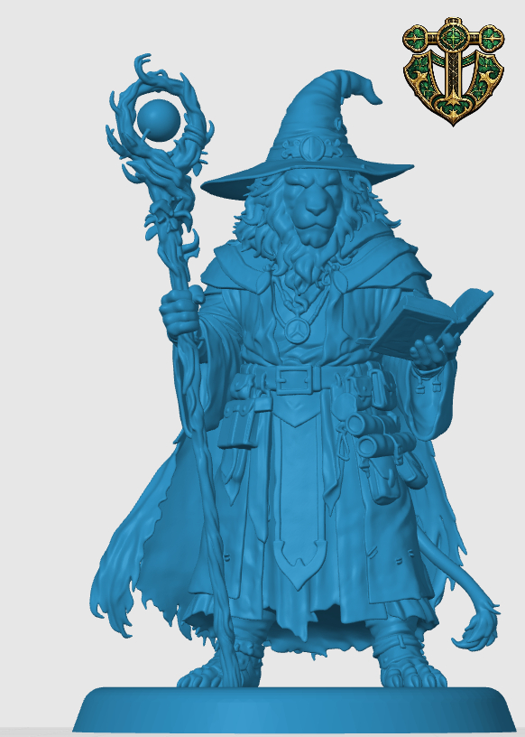 Leonin Wizard — thumbnail 5