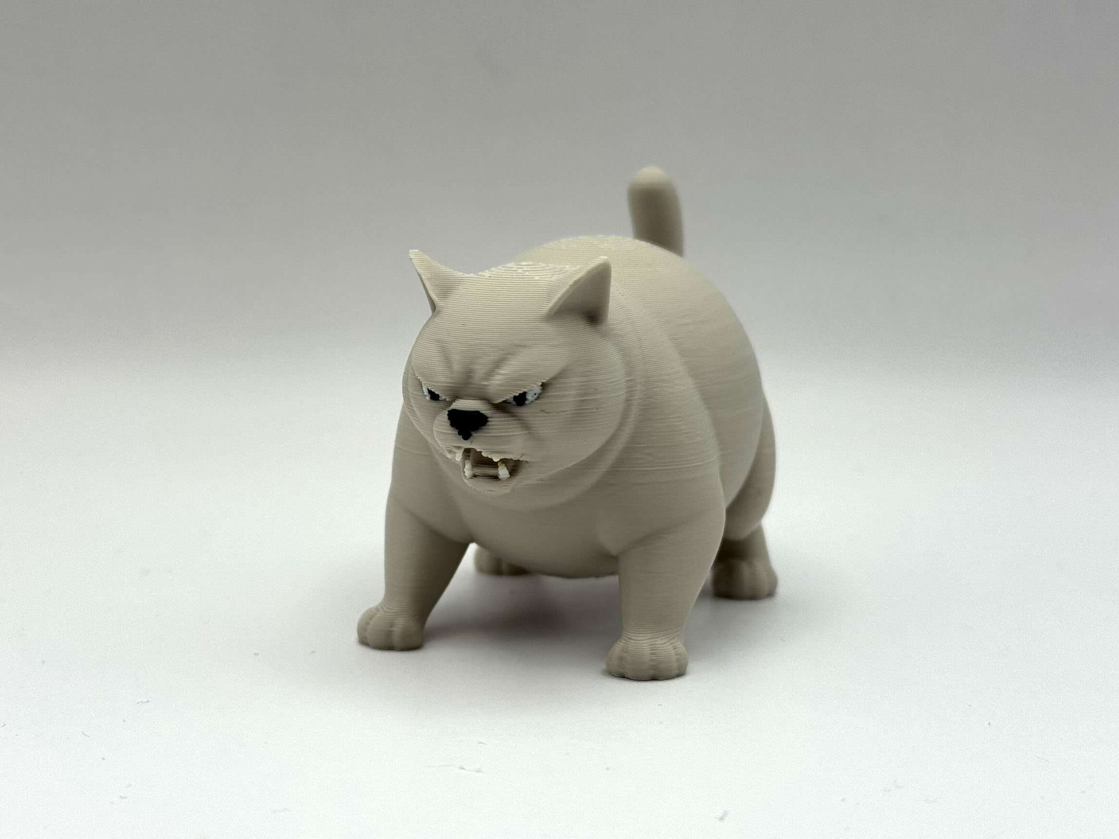 Angry Chonky Cat