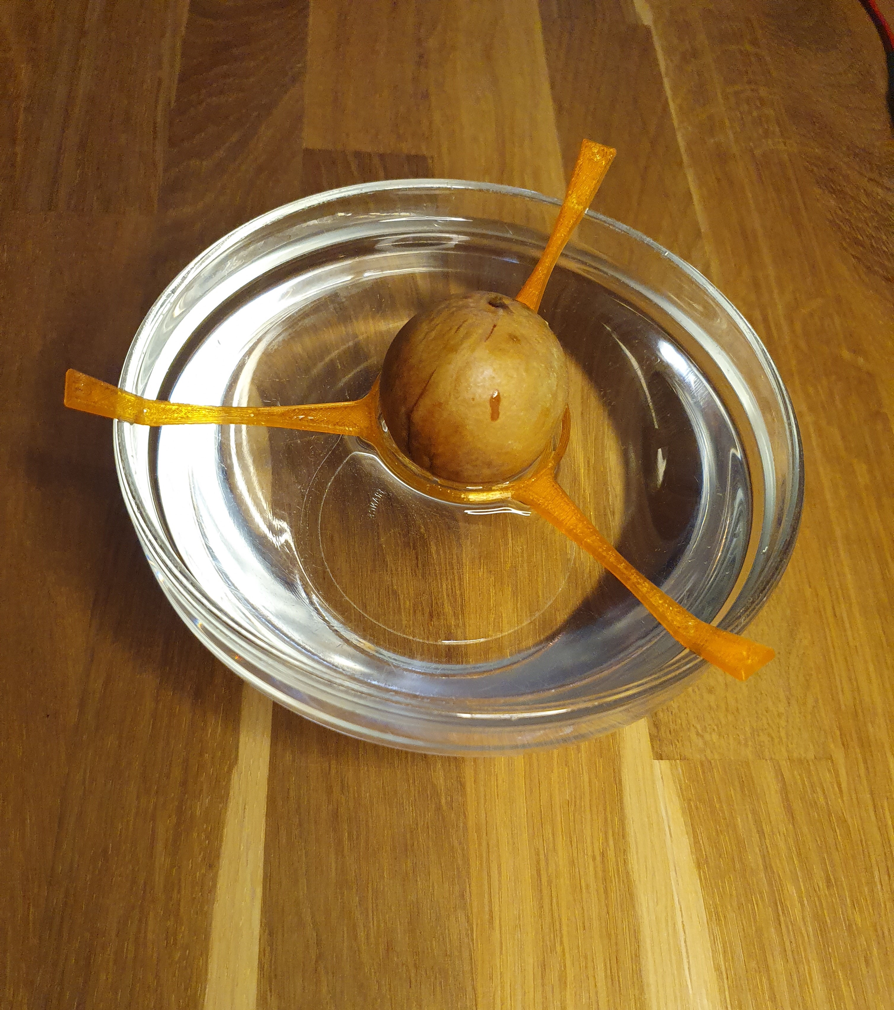 Avocado-pit clip