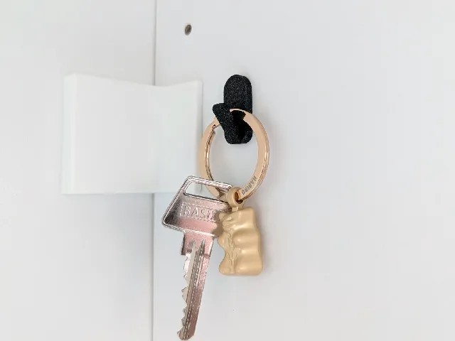 Tiny Hook for IKEA PAX