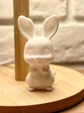 Sweet bunny rabbit
