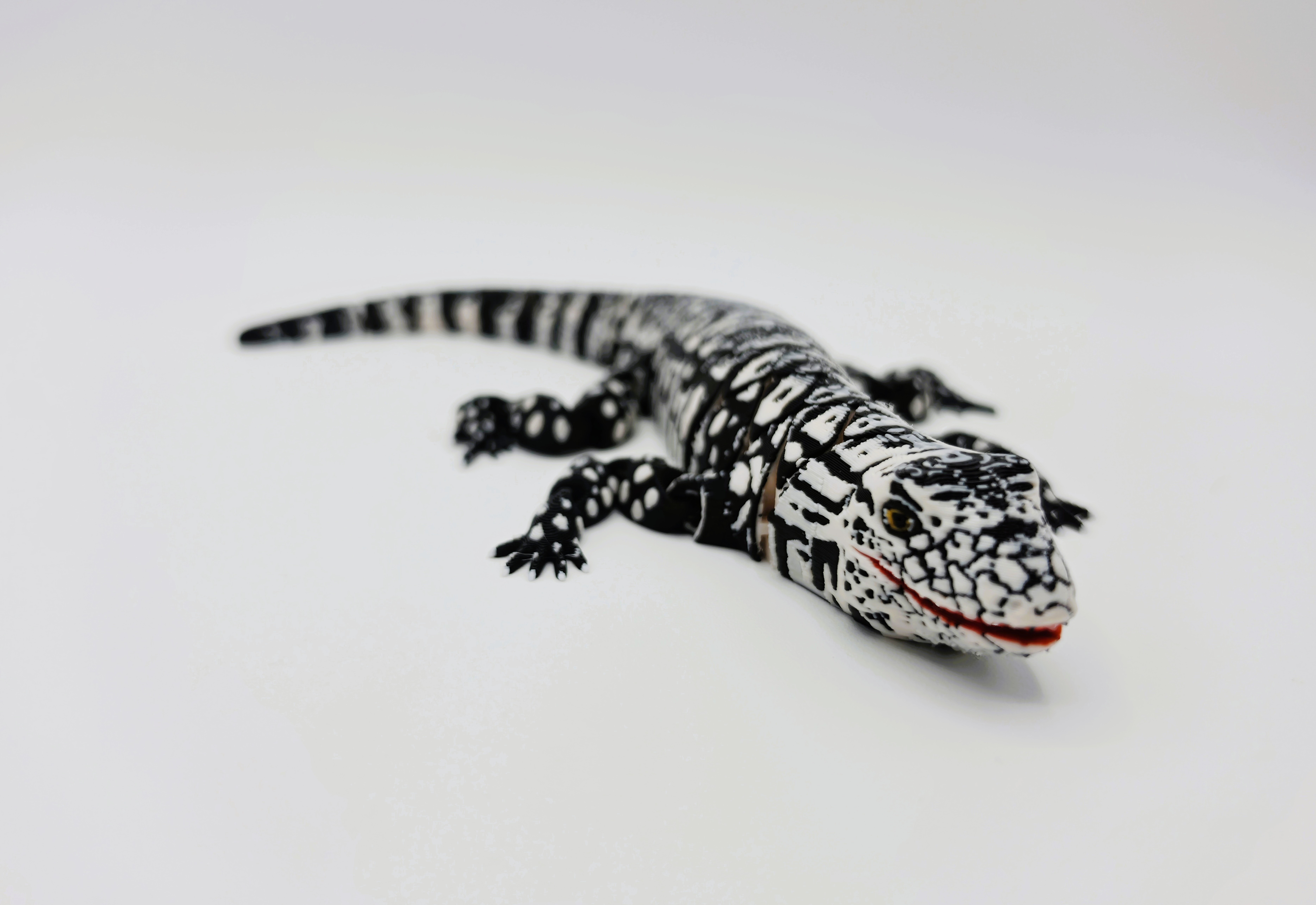 Flexi Argentine Black and White Tegu