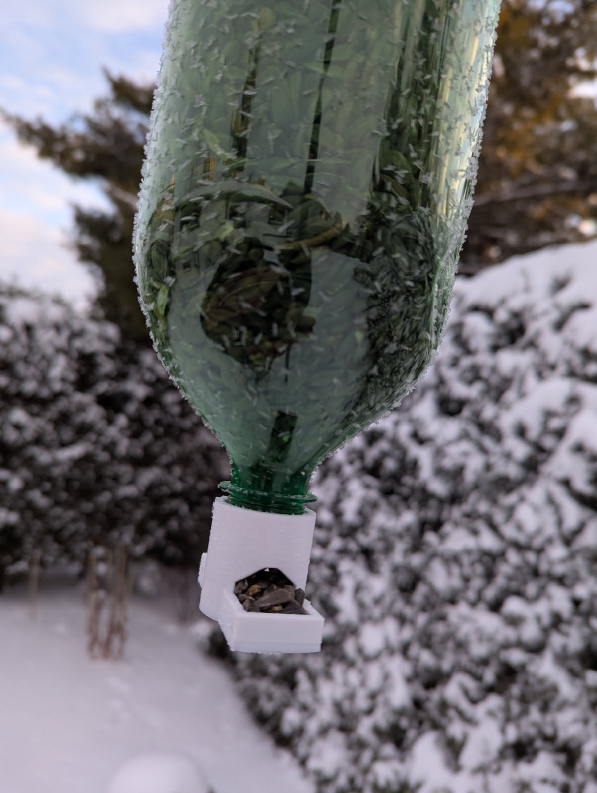 Small Bird Pop Bottle Feeder