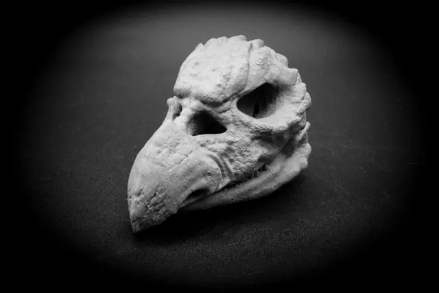 Skeksis Skull (Pre Supported)