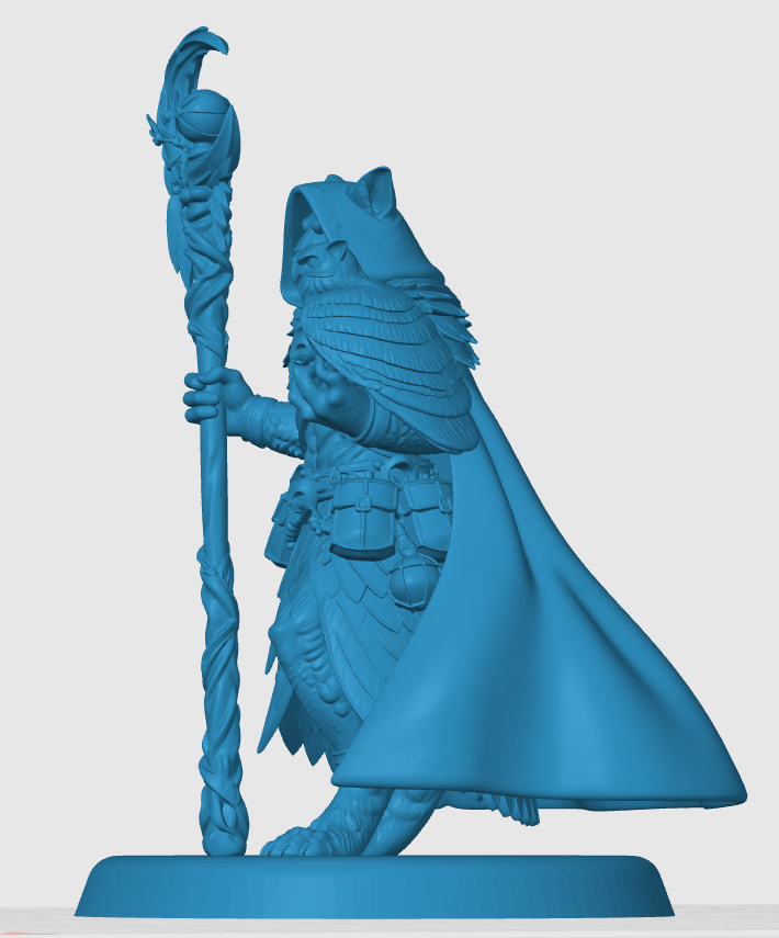 Tabaxi Druid — miniatura 4
