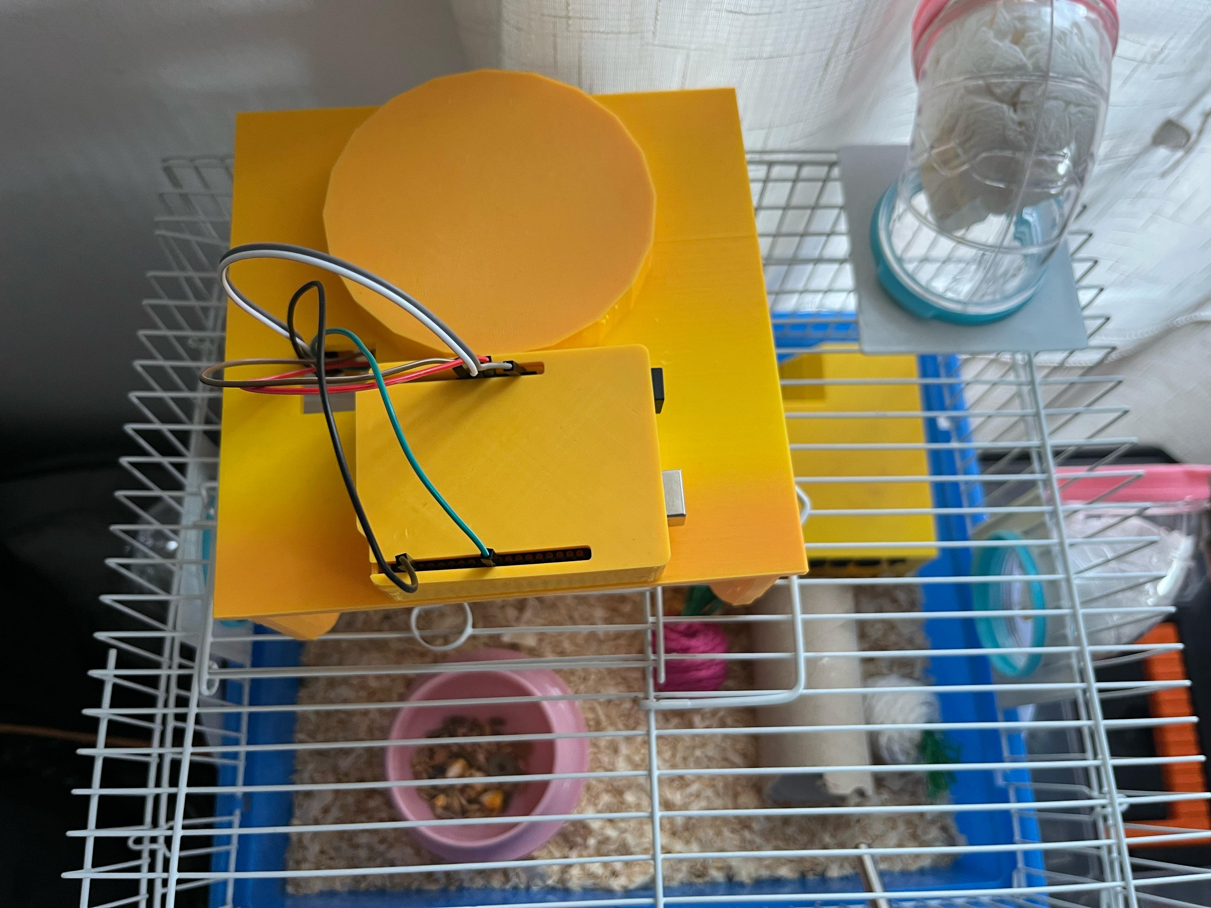 Hamster Wheel Treat dispenser