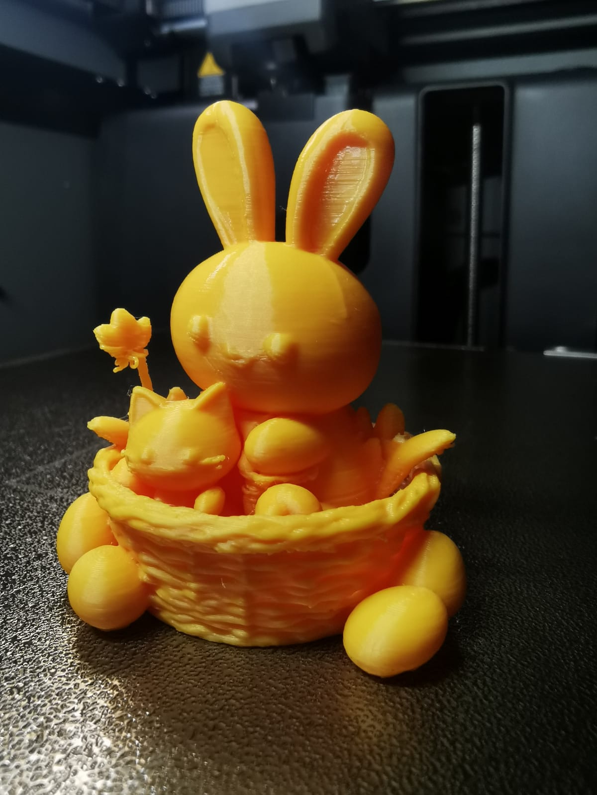 Hase und Katze im Körbchen
