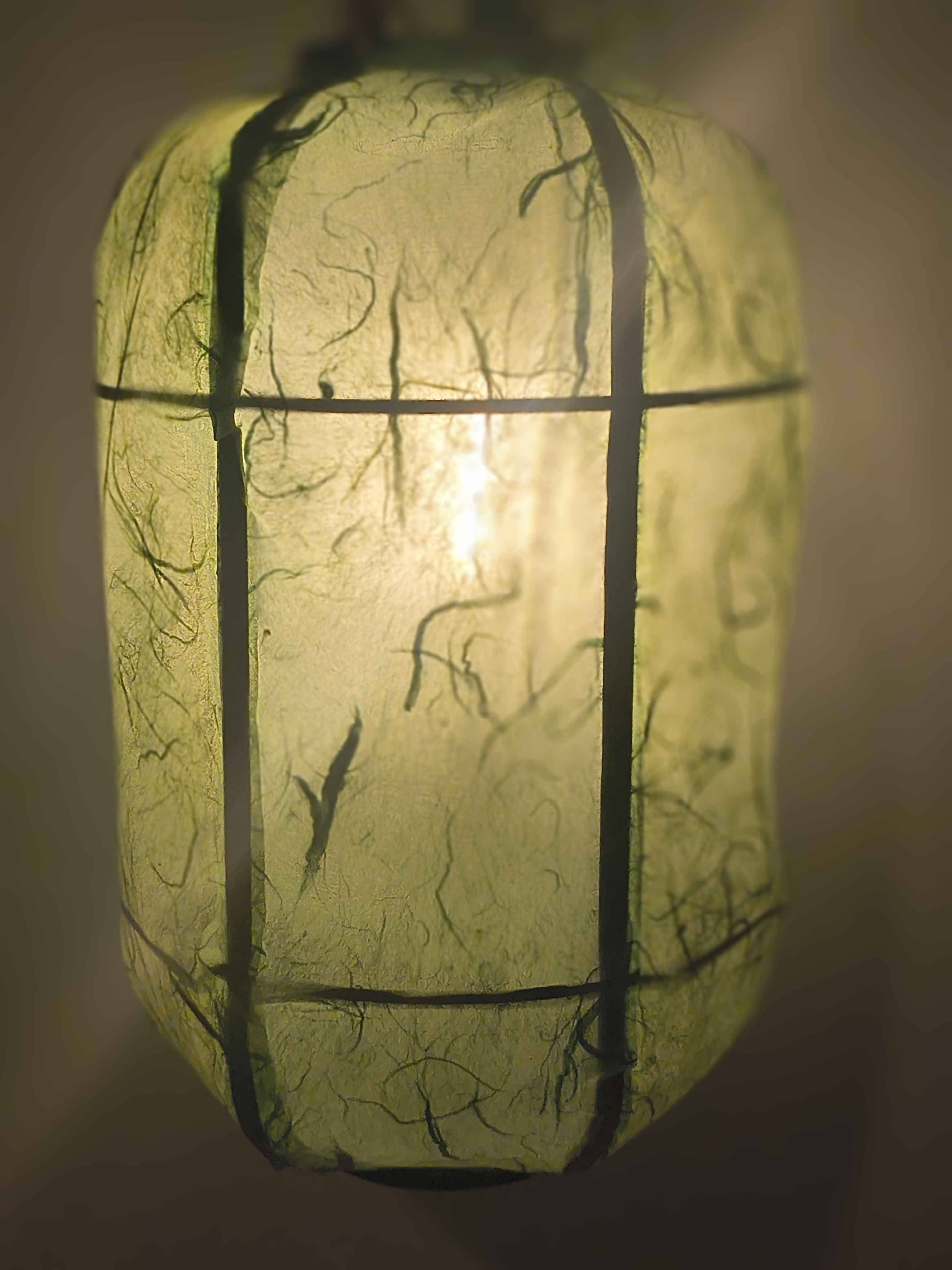 Paper Lantern Scaffold