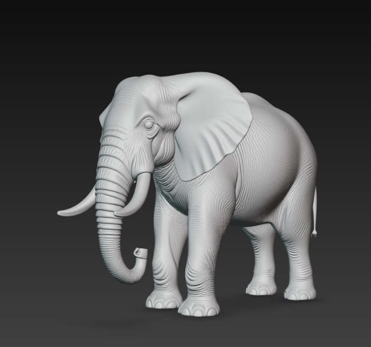 elephant — miniatura 5