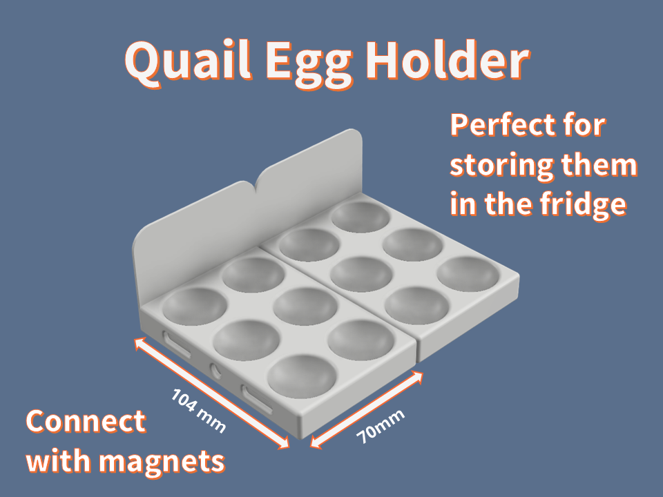 Quail Egg Holder