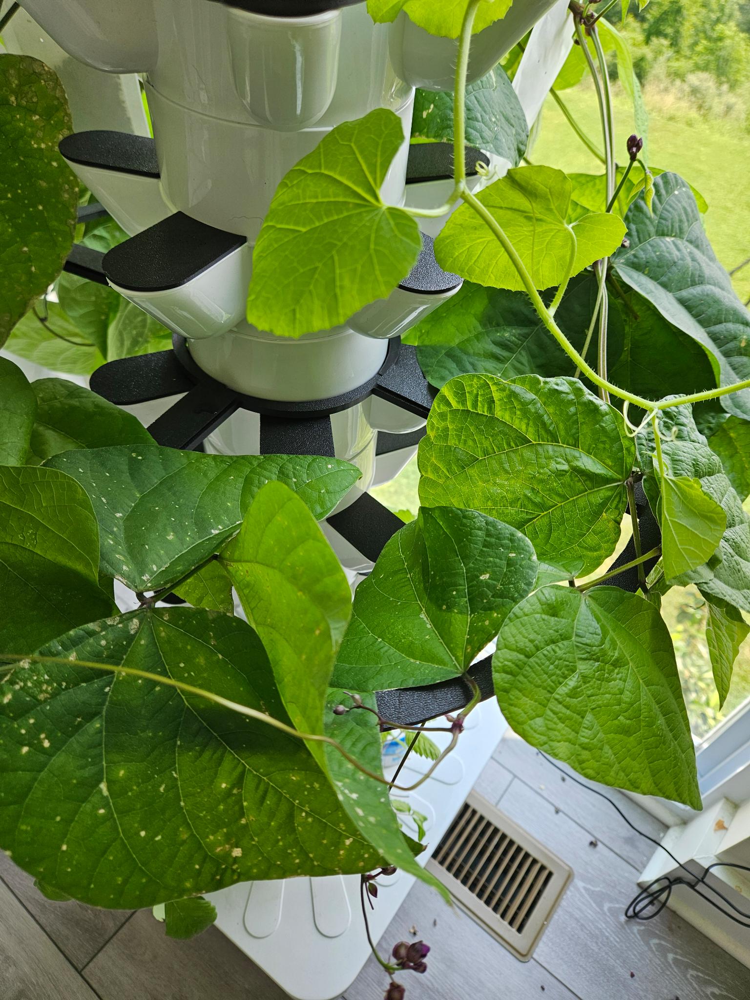 Hydroponic Tower Support Circle