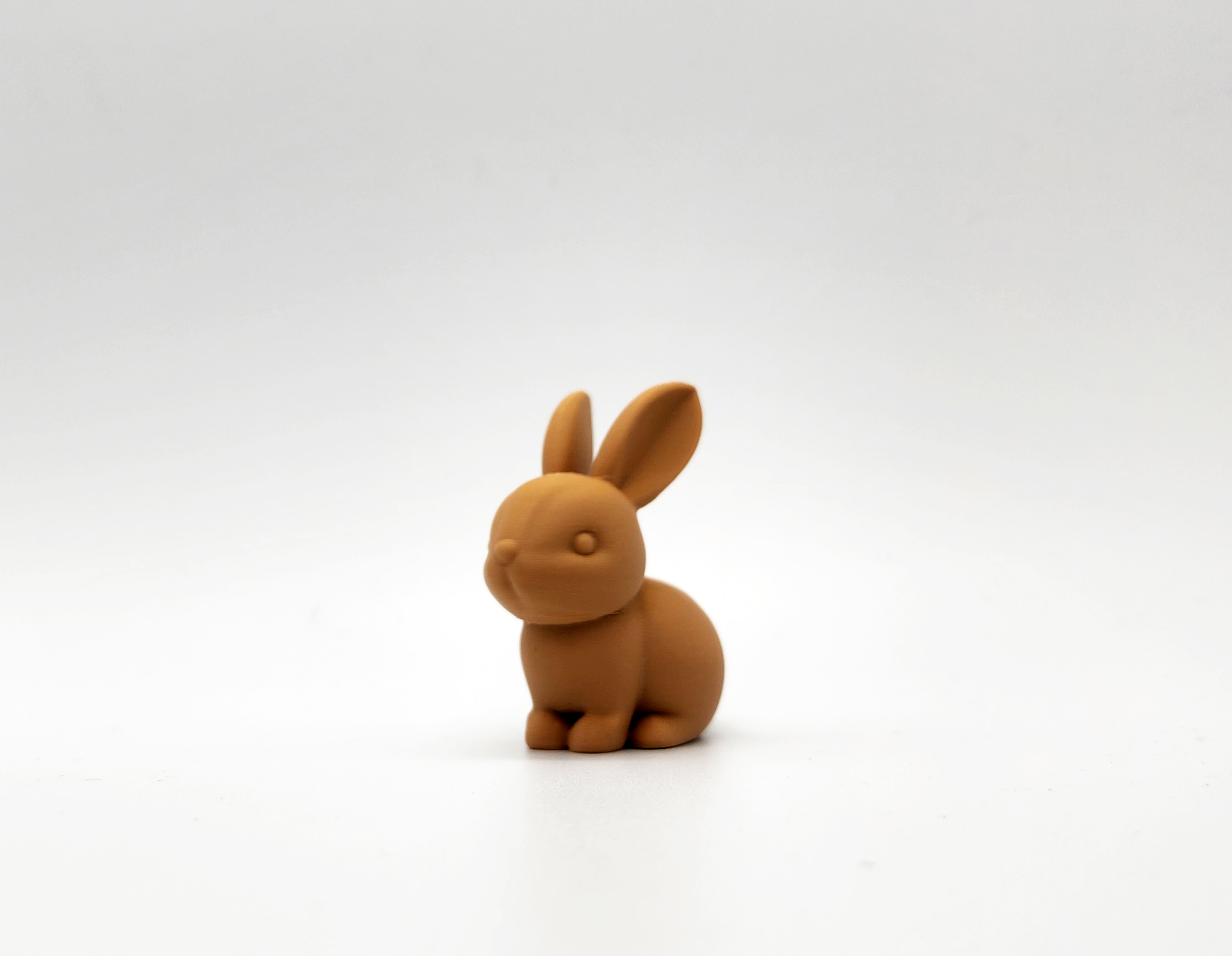 Tiny Bunny