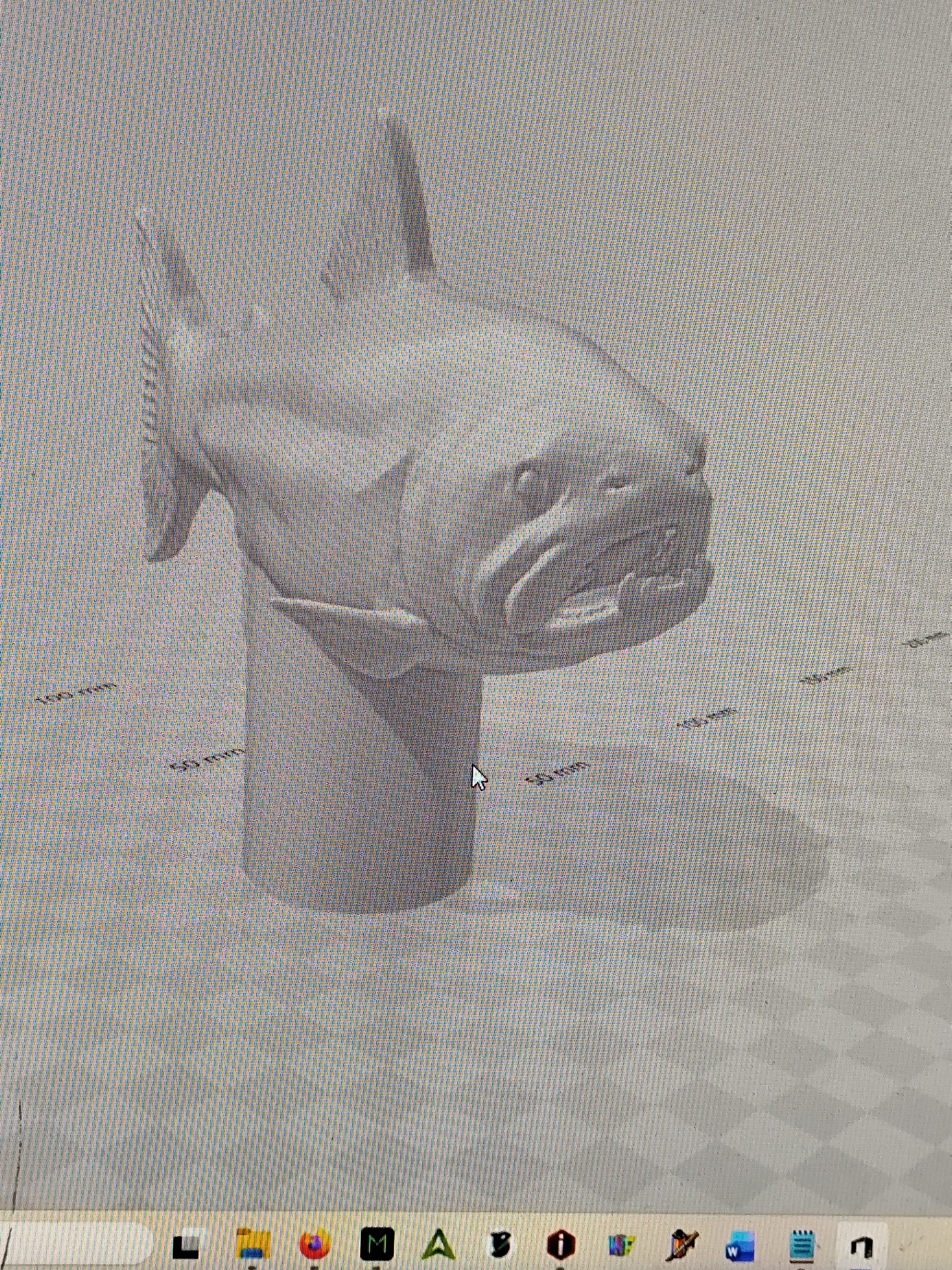 trout fish model