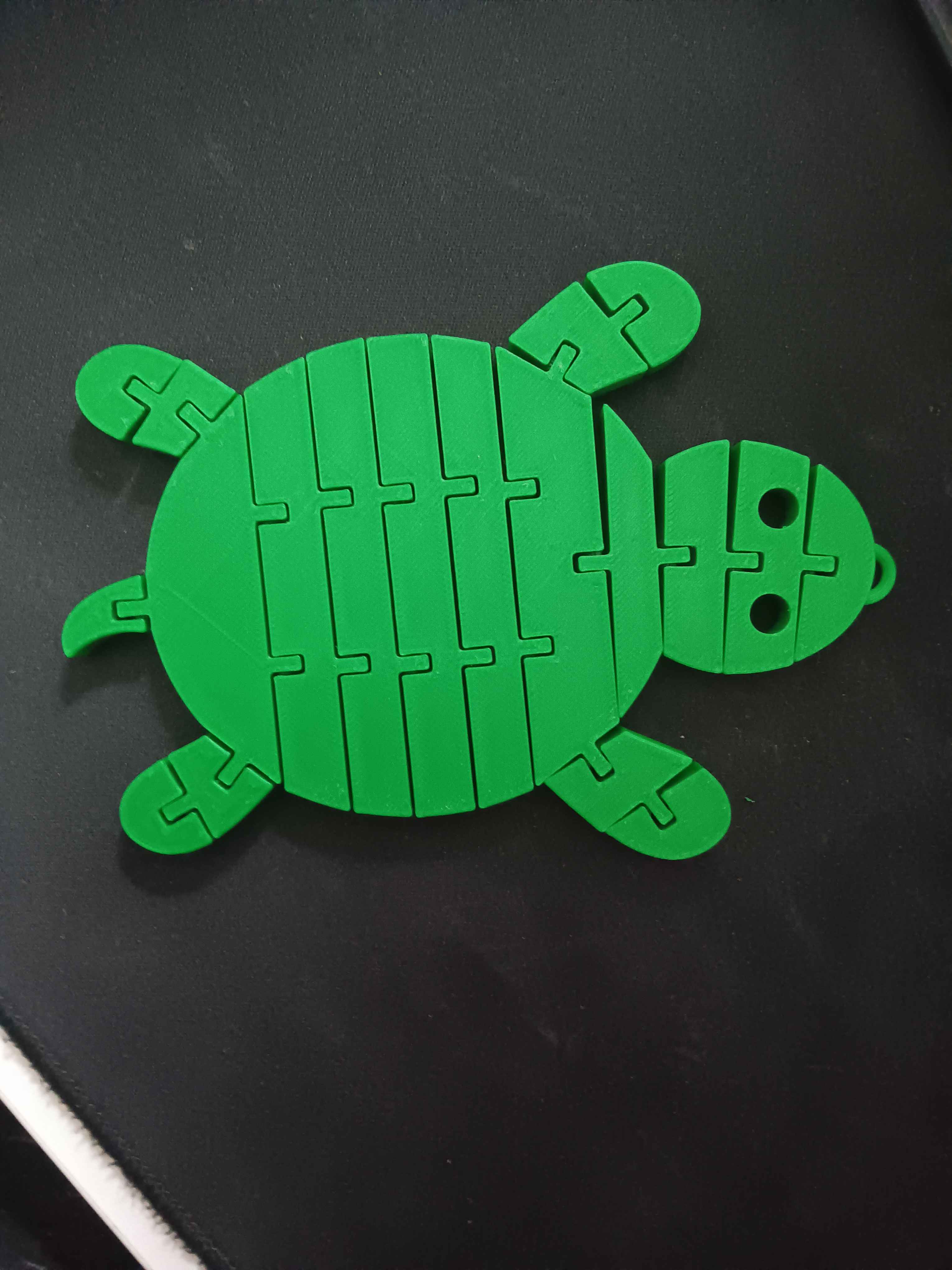 Flexi turtle