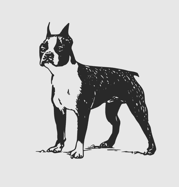 wall art bulldog