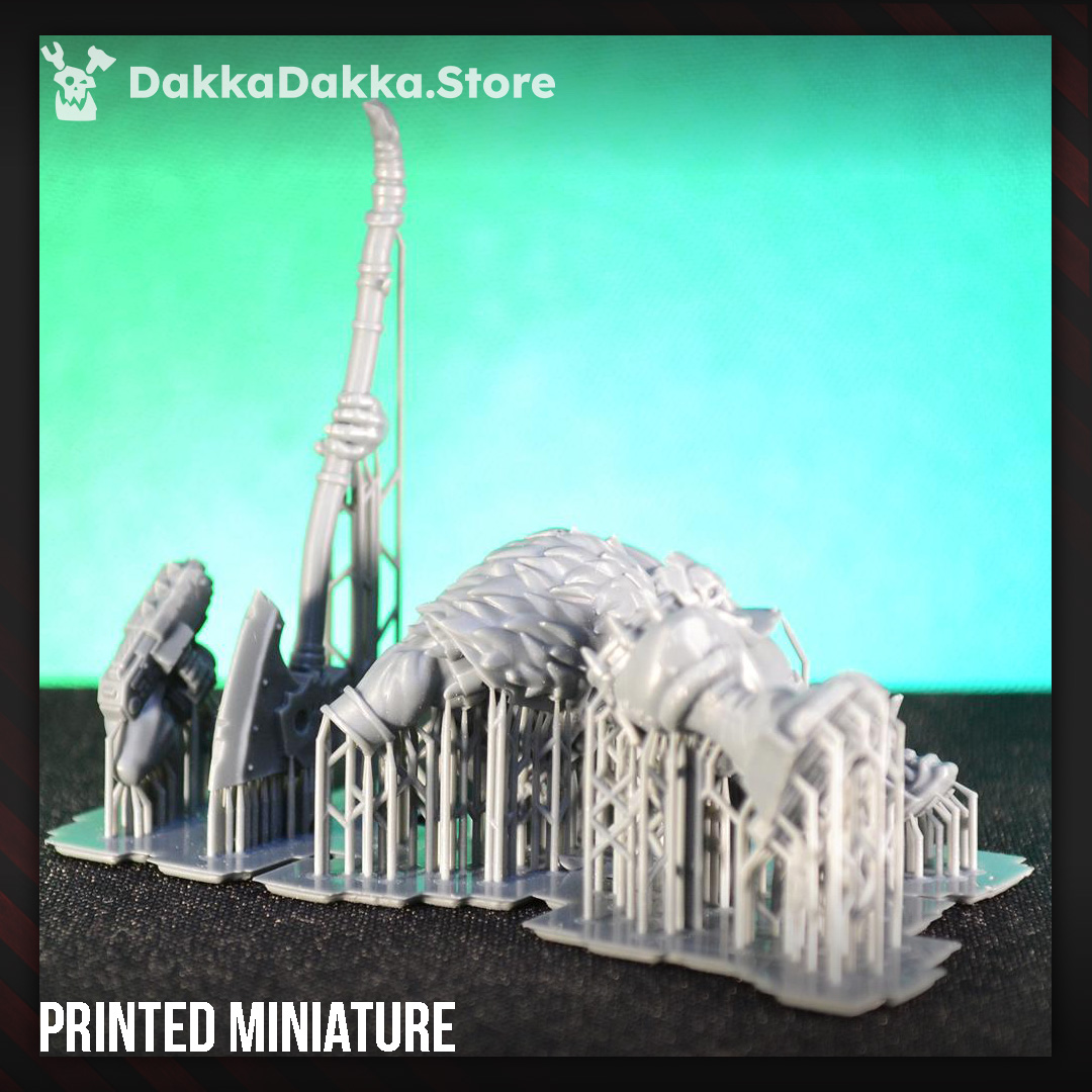 Porkaz Boy — thumbnail 5