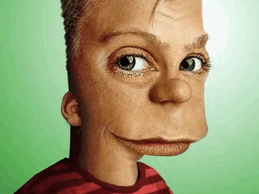 test model 1.1