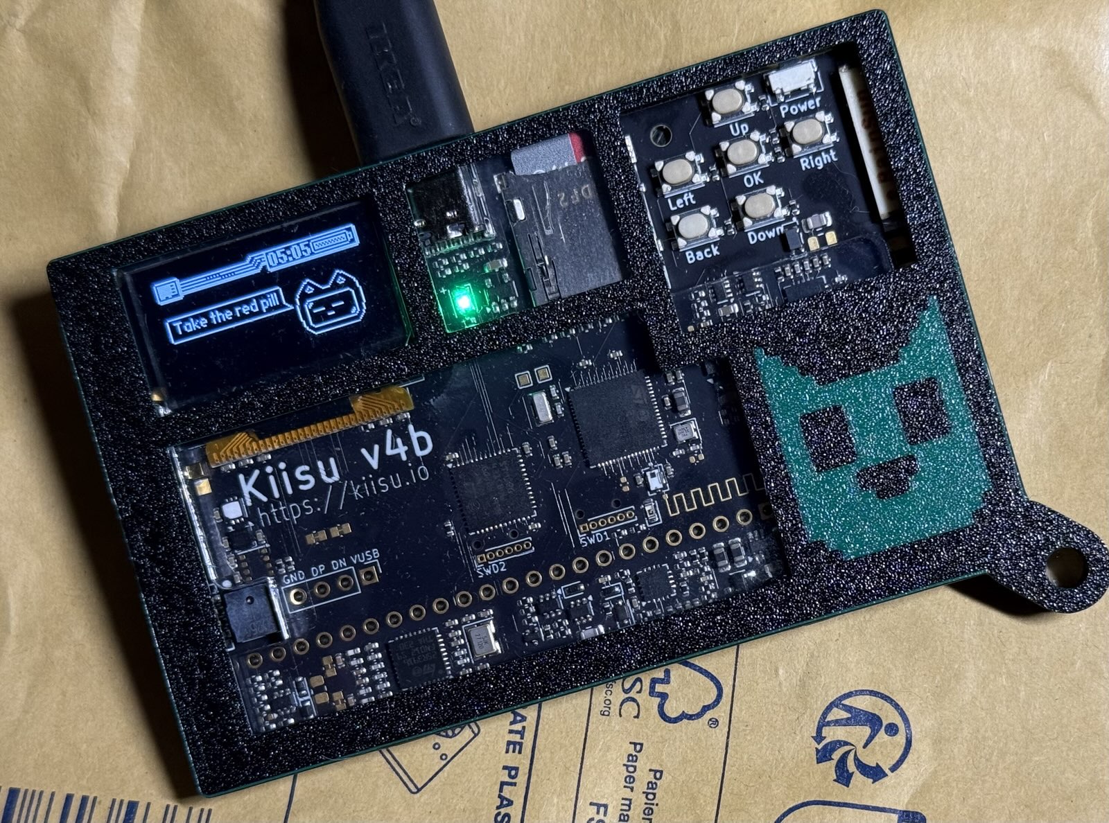 Kiisu v4 development board case (beta)