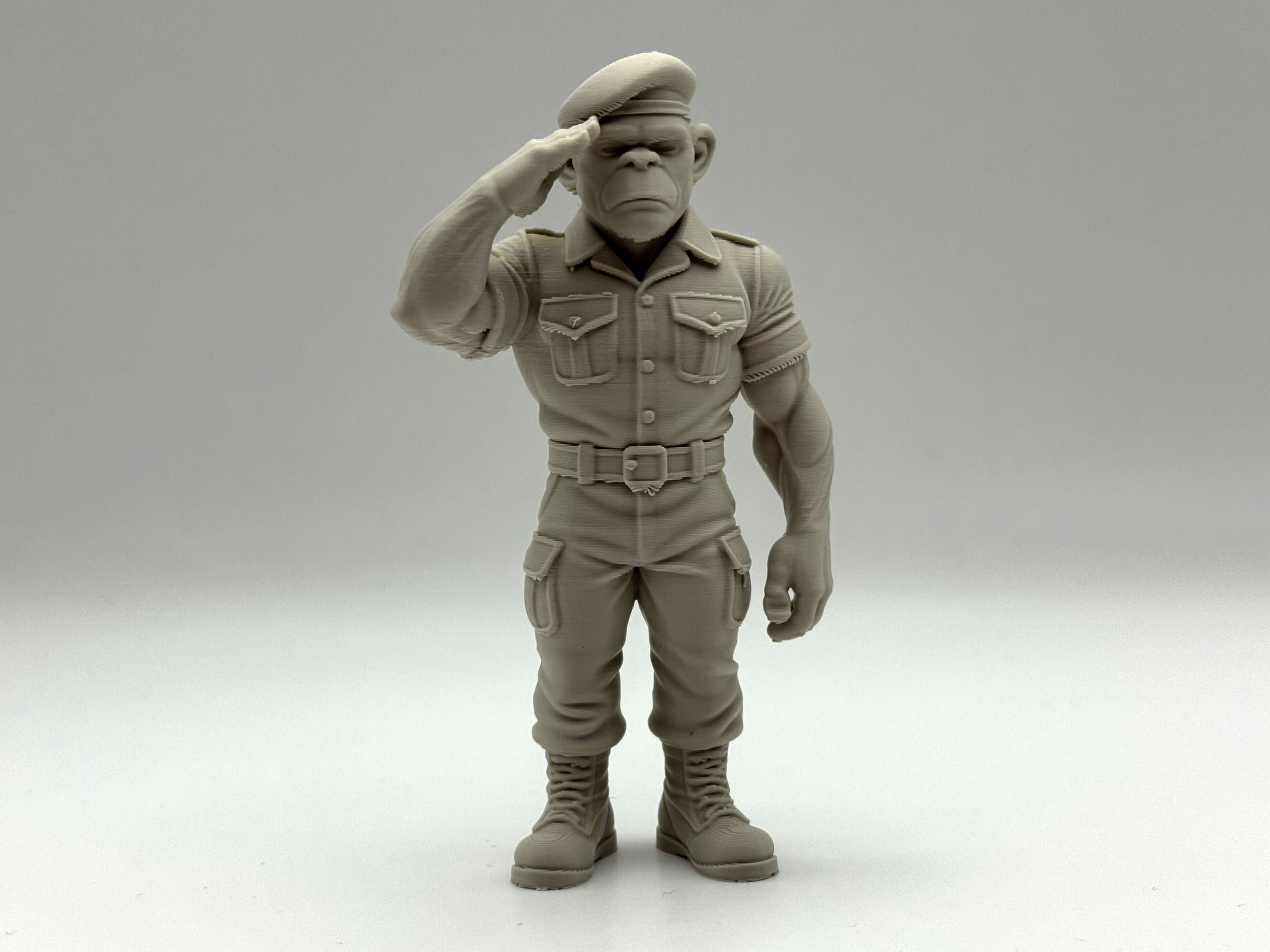 Monkey Soldier