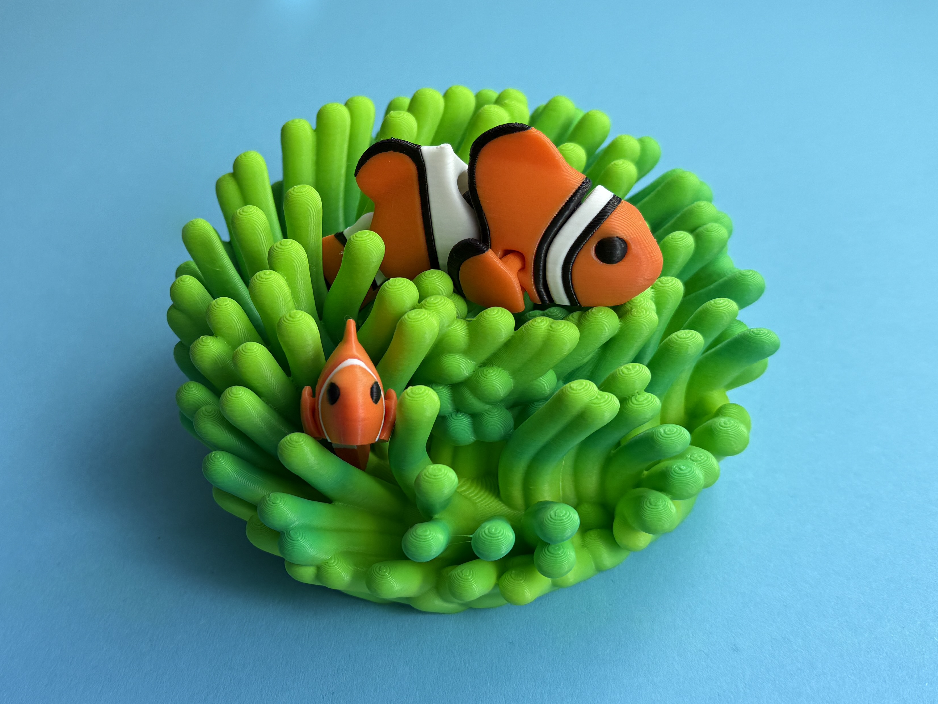 Articulated Clownfish