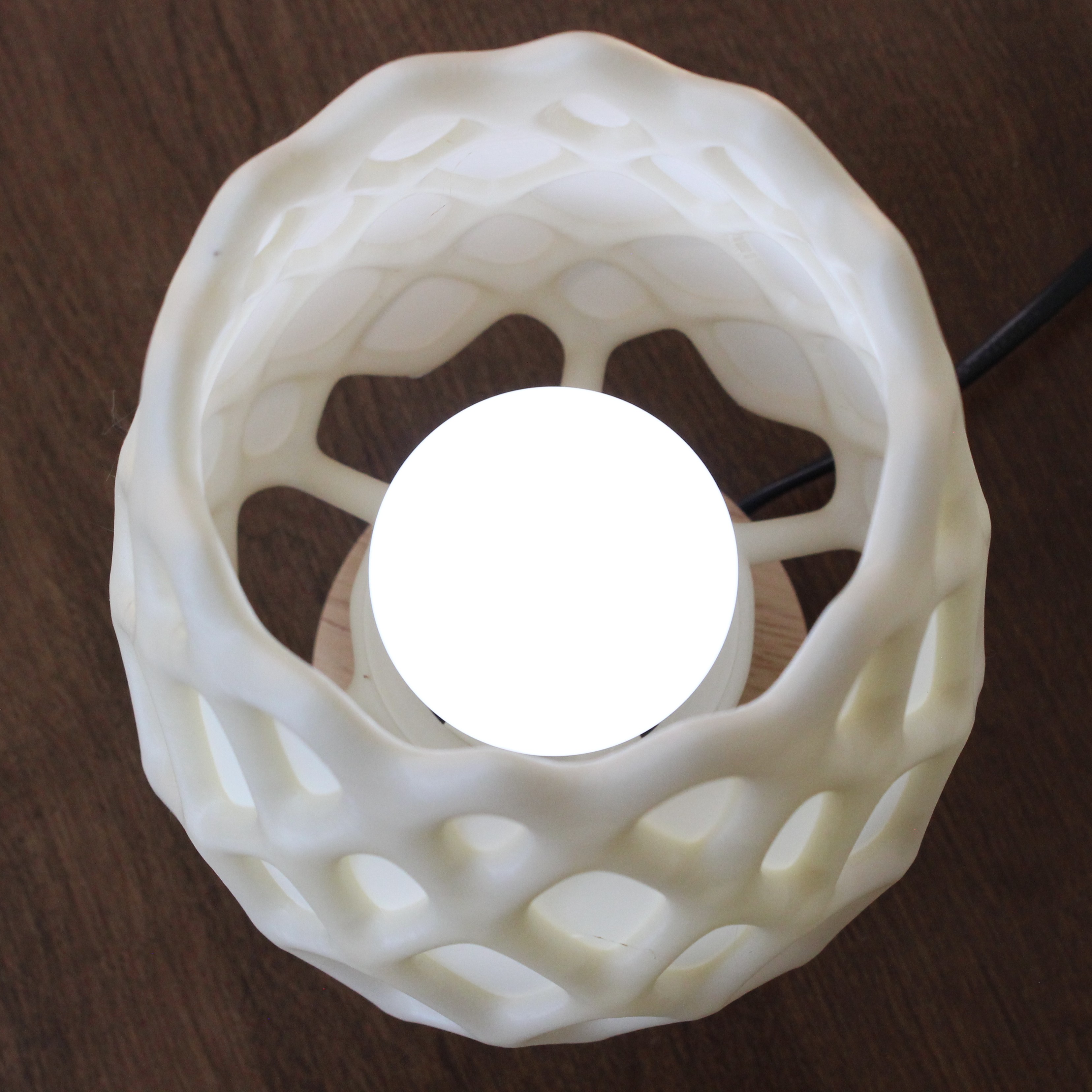 Cholla Cactus Lamp — miniatura 3