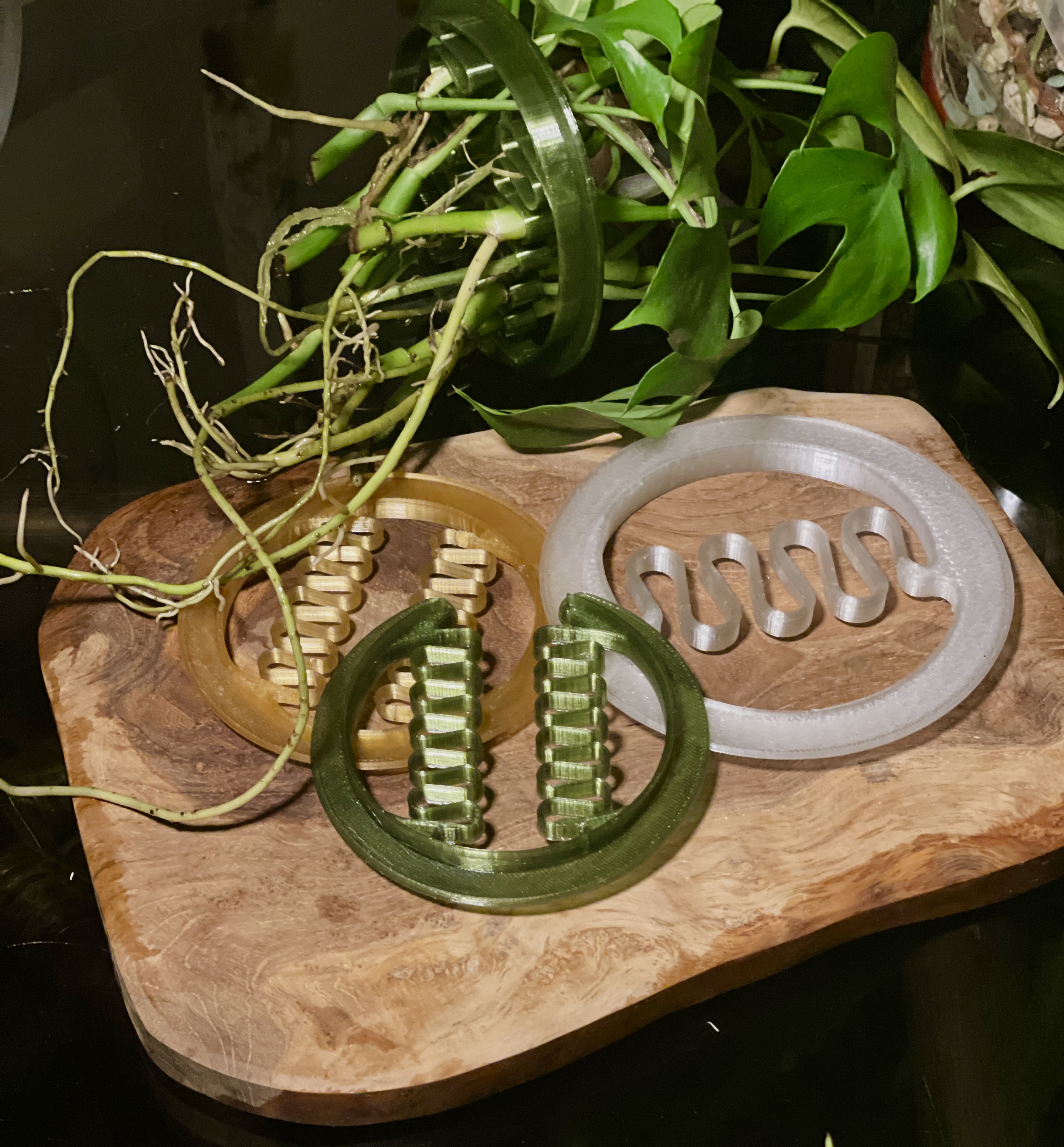 Support rings for cuttings propagation and floral arrangements
