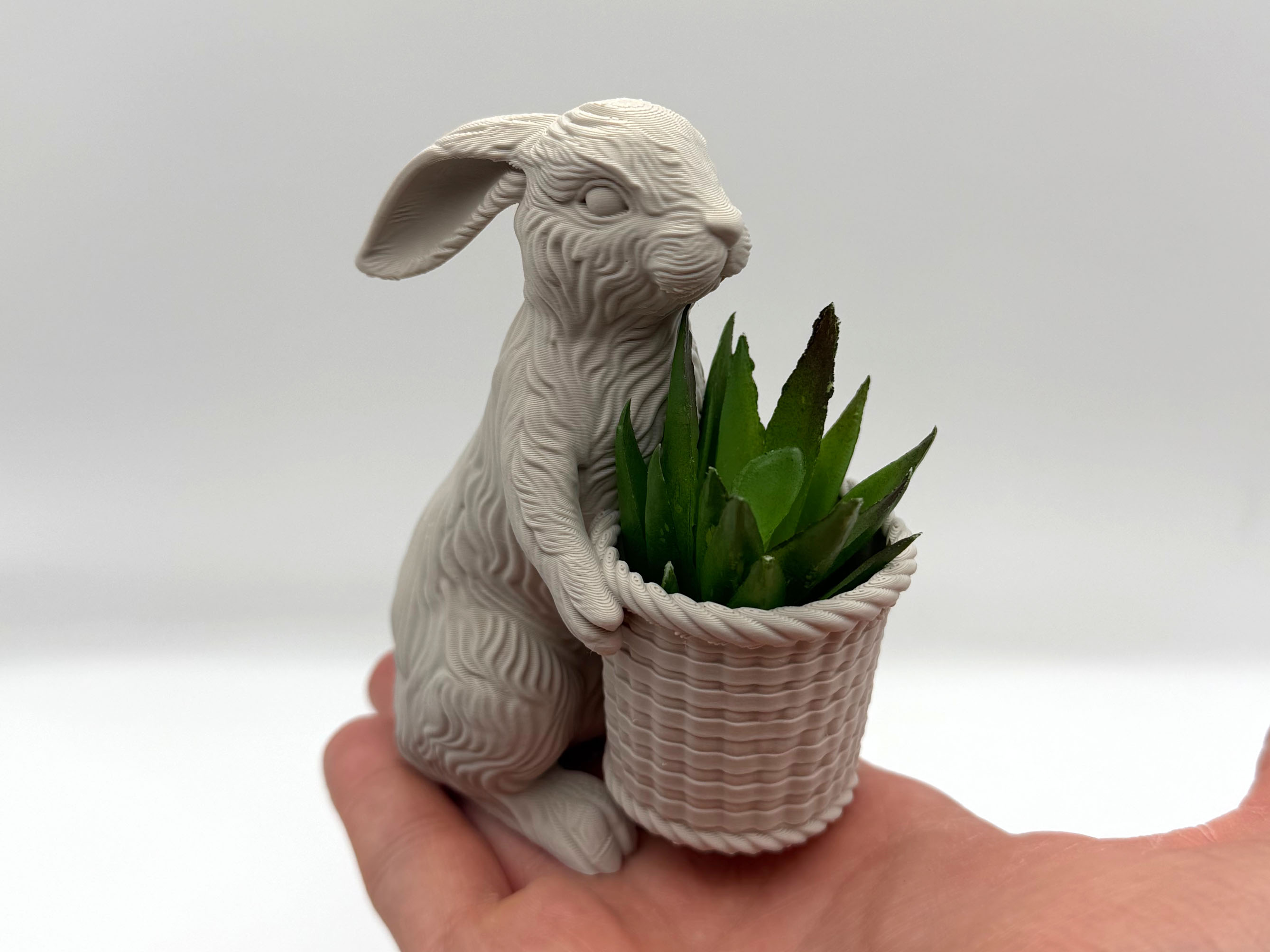 Easter Bunny Basket / Planter