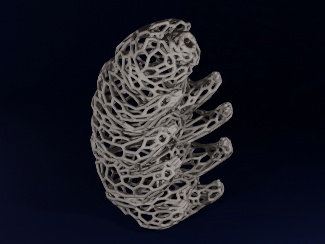 Tardigrade Voronoi