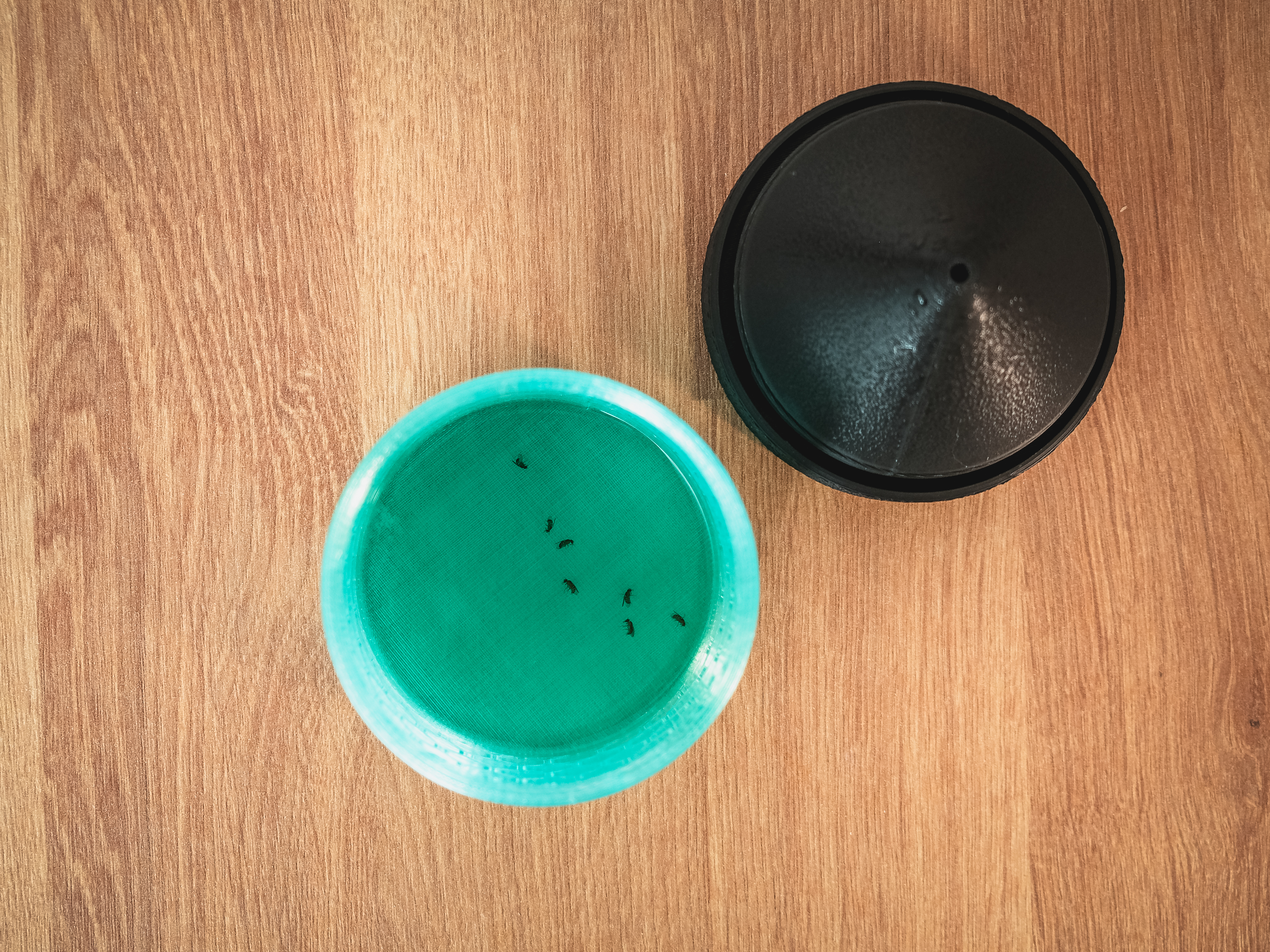 Miniatura 5 do modelo 3D Fruit Fly Trap