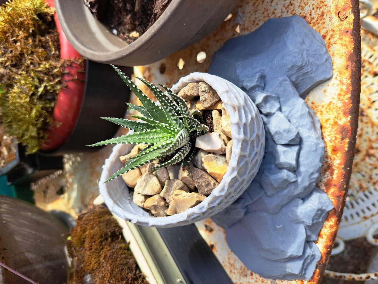 Pot oeuf de dinosaure avec réserve d'eau