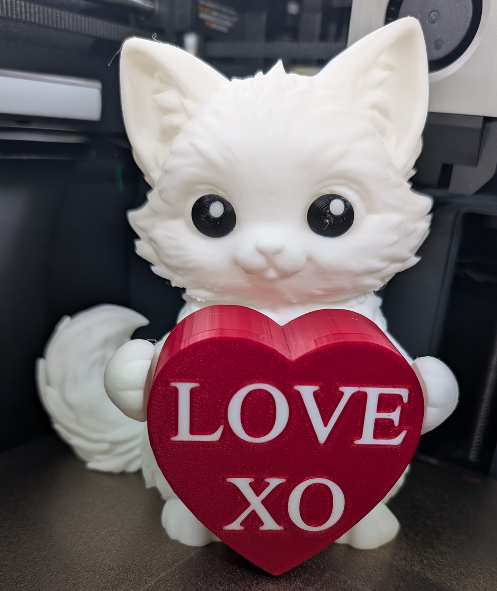 Valentines day kitten light/box Customize text.